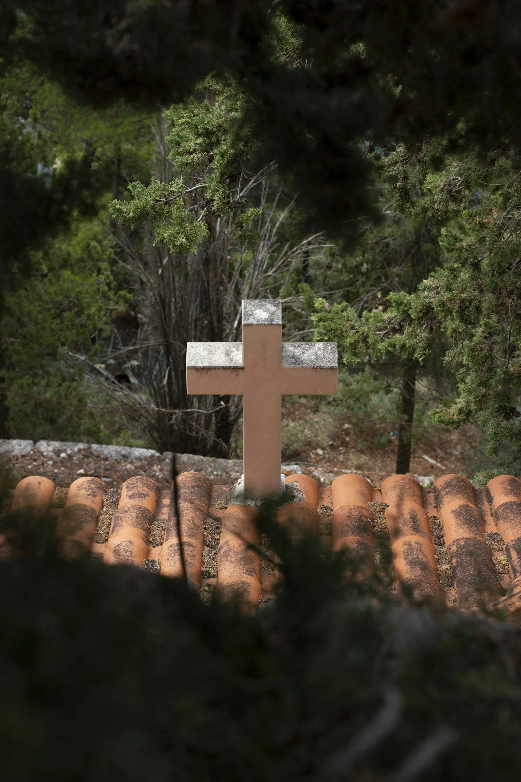 Bible Verses About Eternal Life