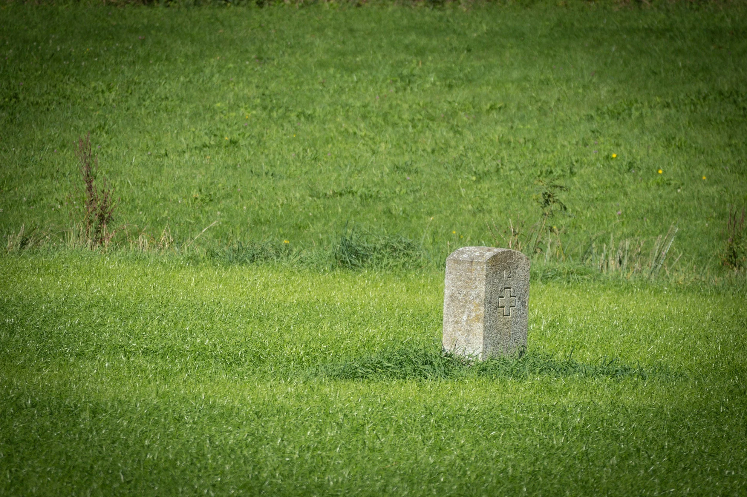 Bible Verses about Sin