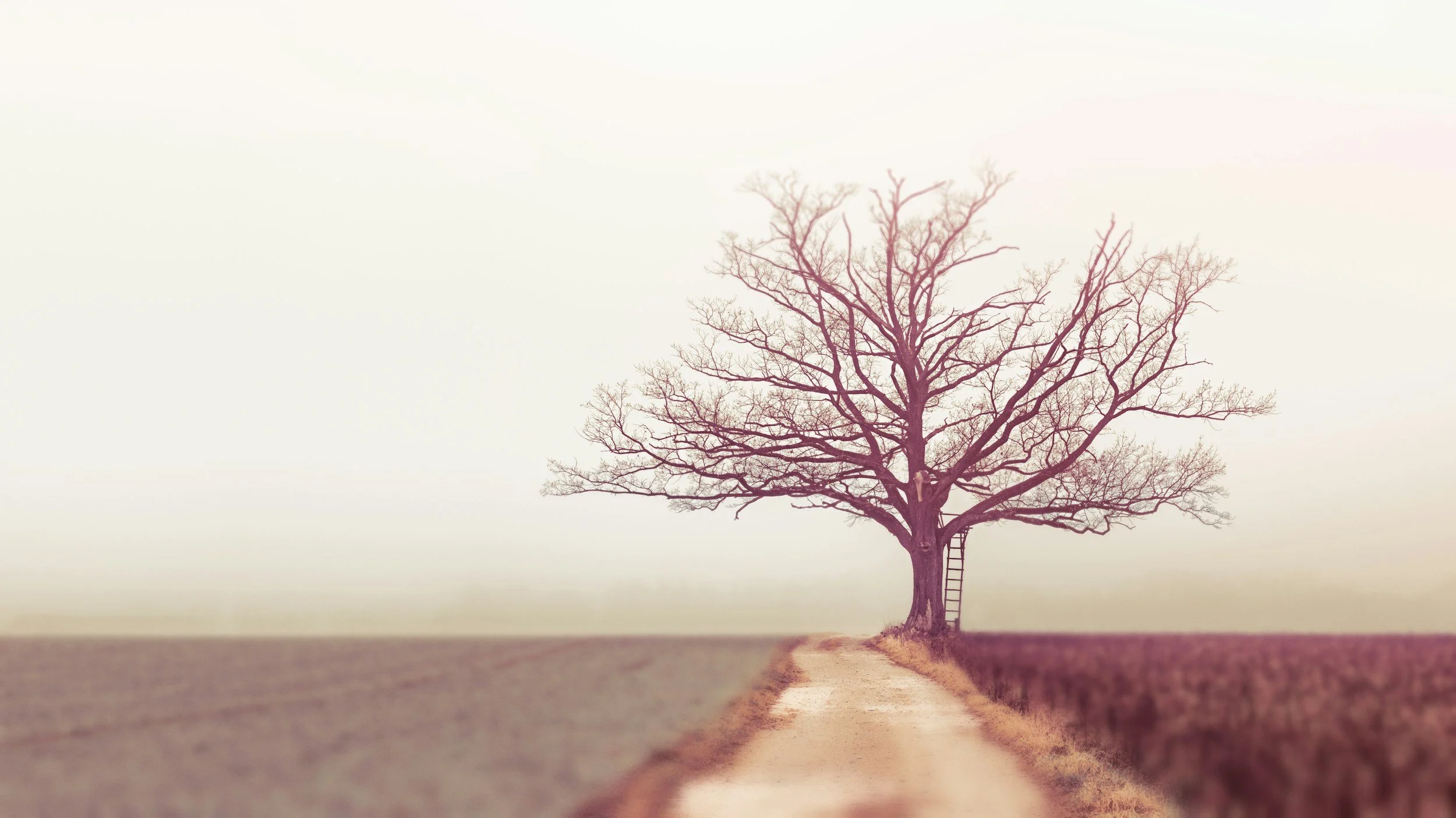 Bible Verses About Wisdom