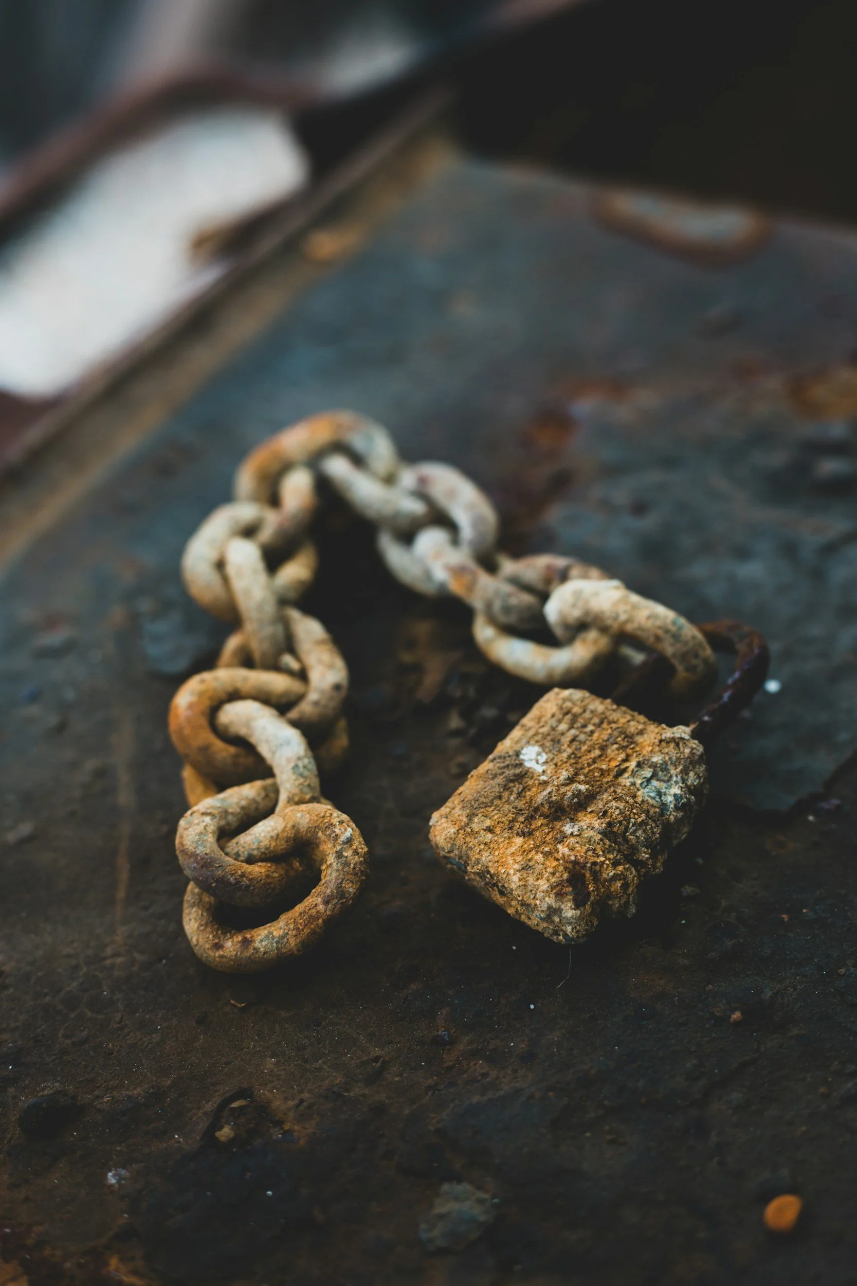 The Strength to Disappoint: Finding Freedom in Matthew 11