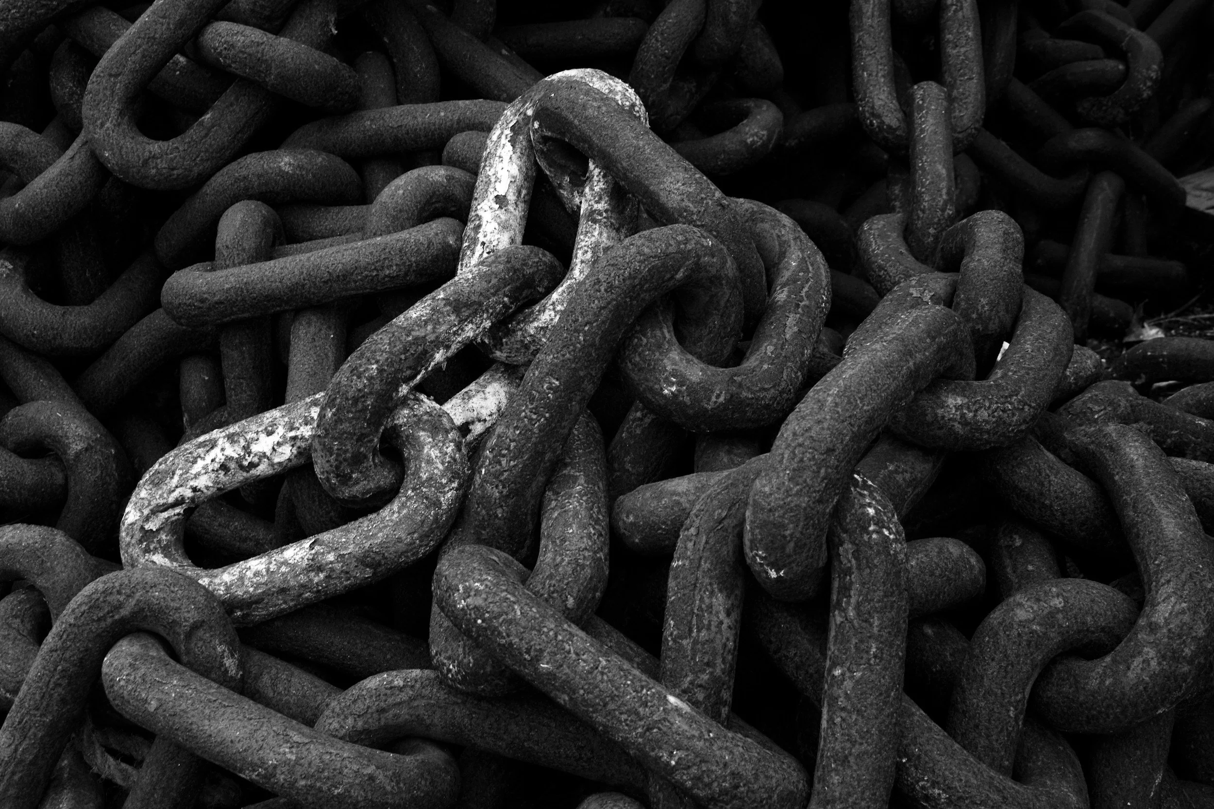 The 4 Prison Epistles of Paul