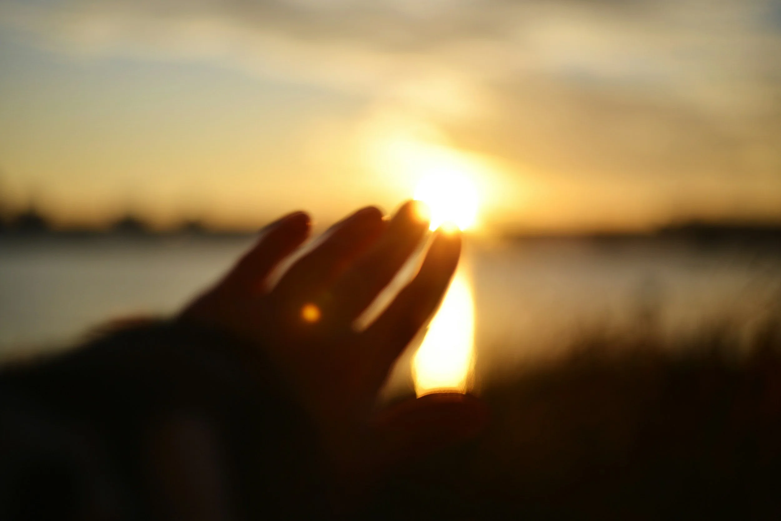 Morning Prayers From the Psalms: 15 Psalms to Start Your Day