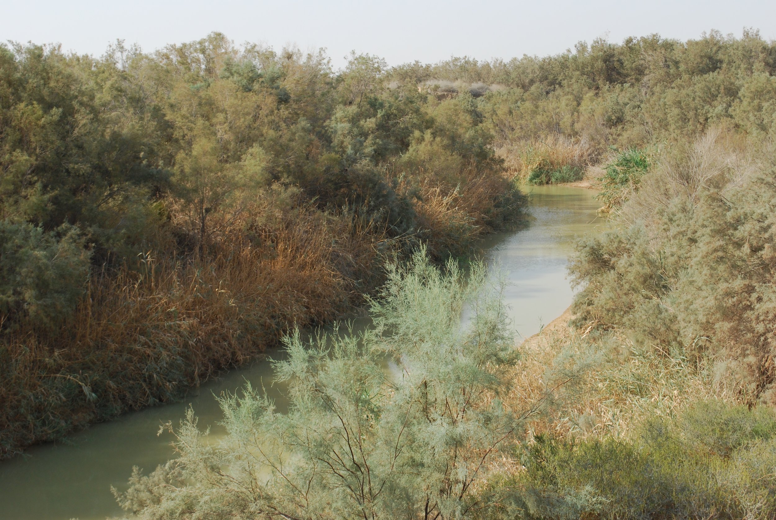 This is a picture of the Jordan River, which is very much wild and overgrown. John the Baptist baptized Jesus is the Jordan River.