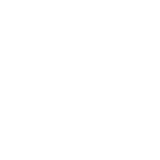 A black and white image of a flag