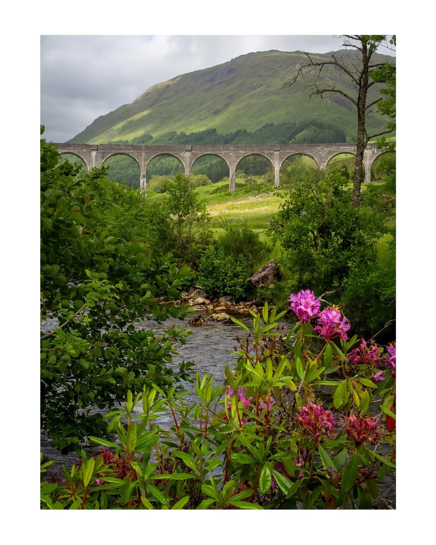 A beautiful scene naturally organised before me