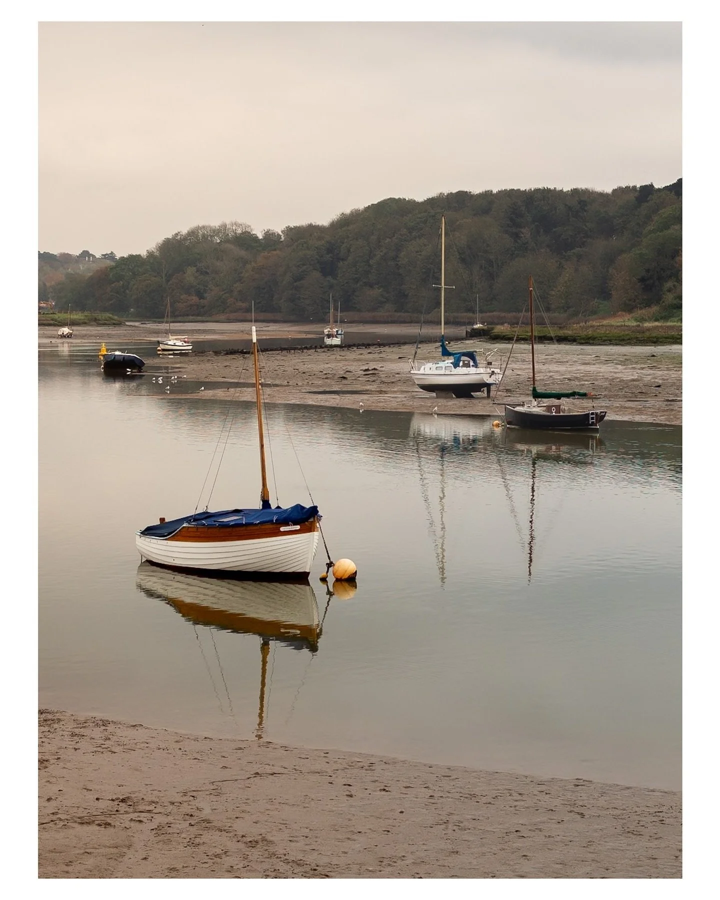 The boat composer 

#ruleofthirds #compositionphotography #landscapephotos #boatsonariver #shallowwater #lowtides #riverdebenwoodbridge