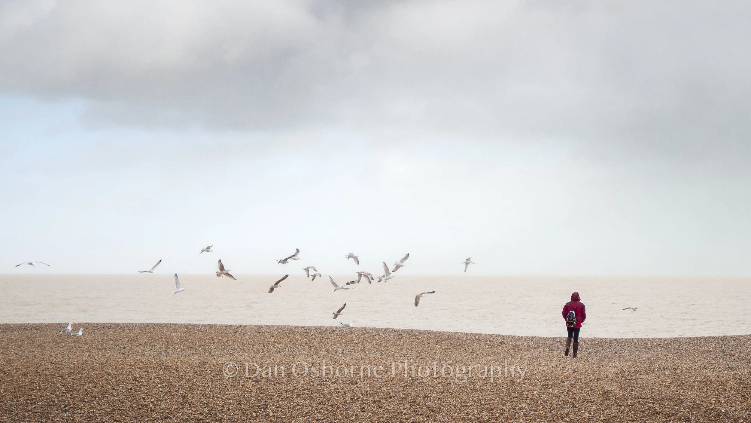 Dan Osborne Photography-5.jpg