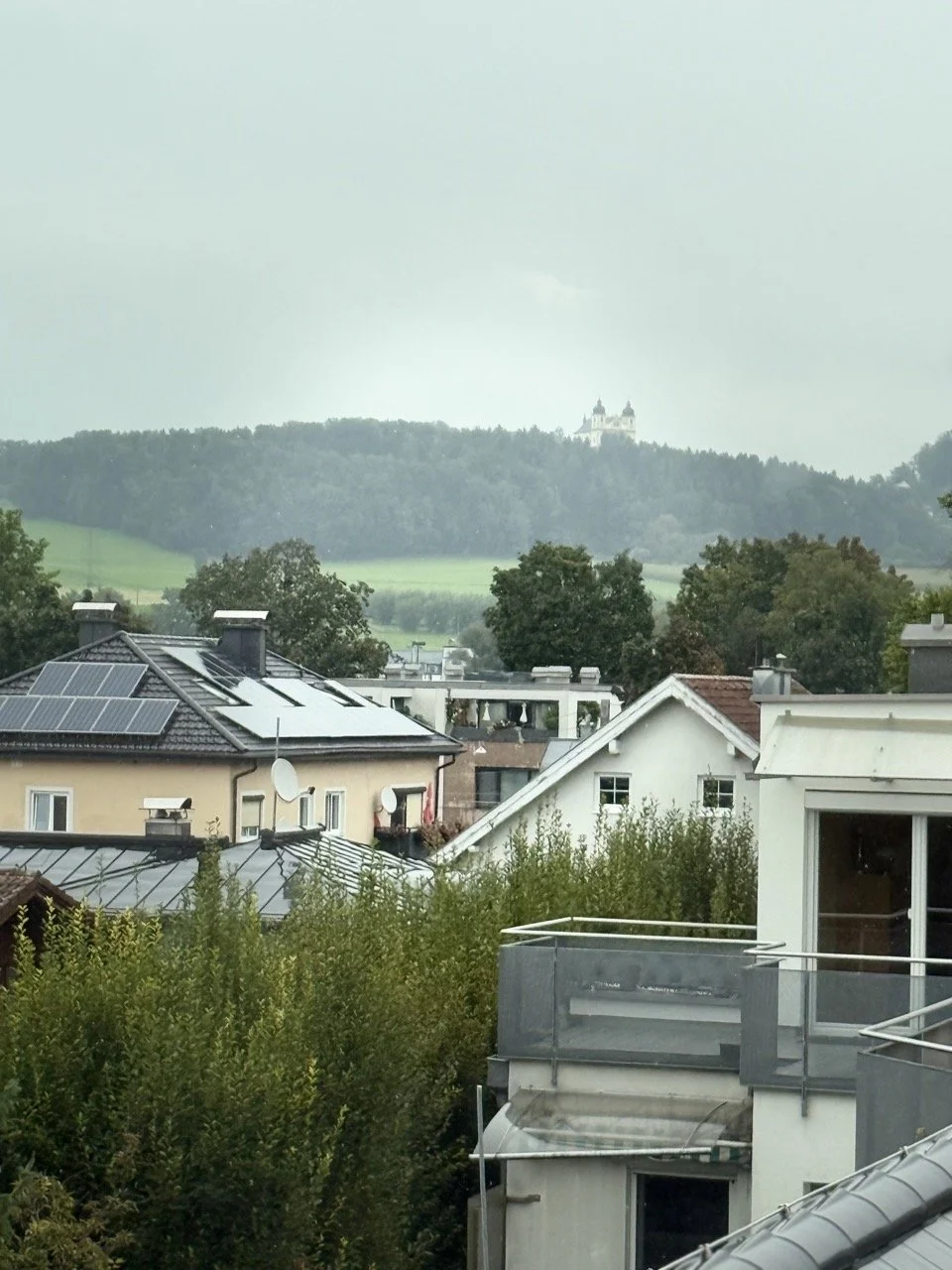29 Groß.jpeg