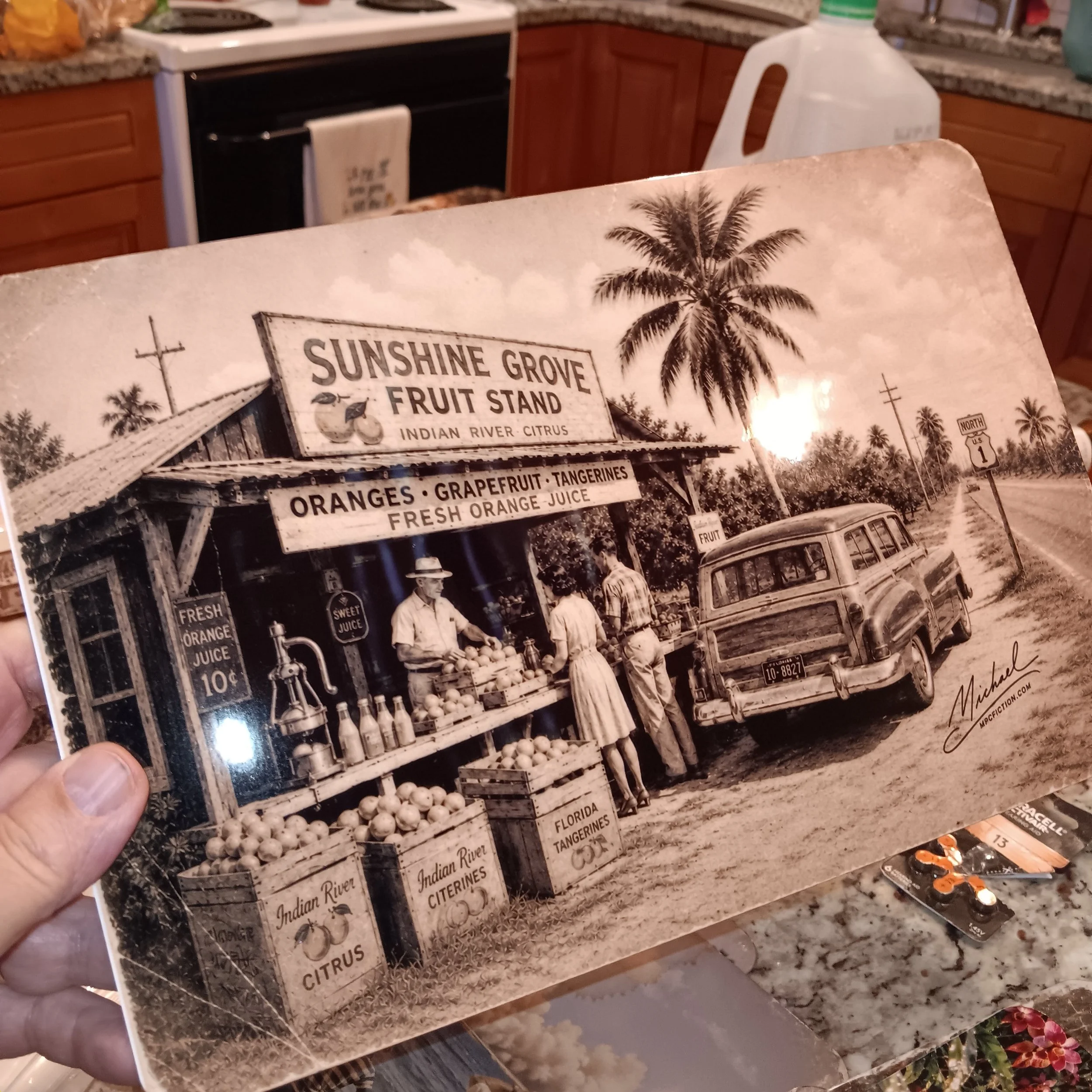 Sunshine on US 1 – Vintage Florida Citrus Roadside Stand Metal Wall Art