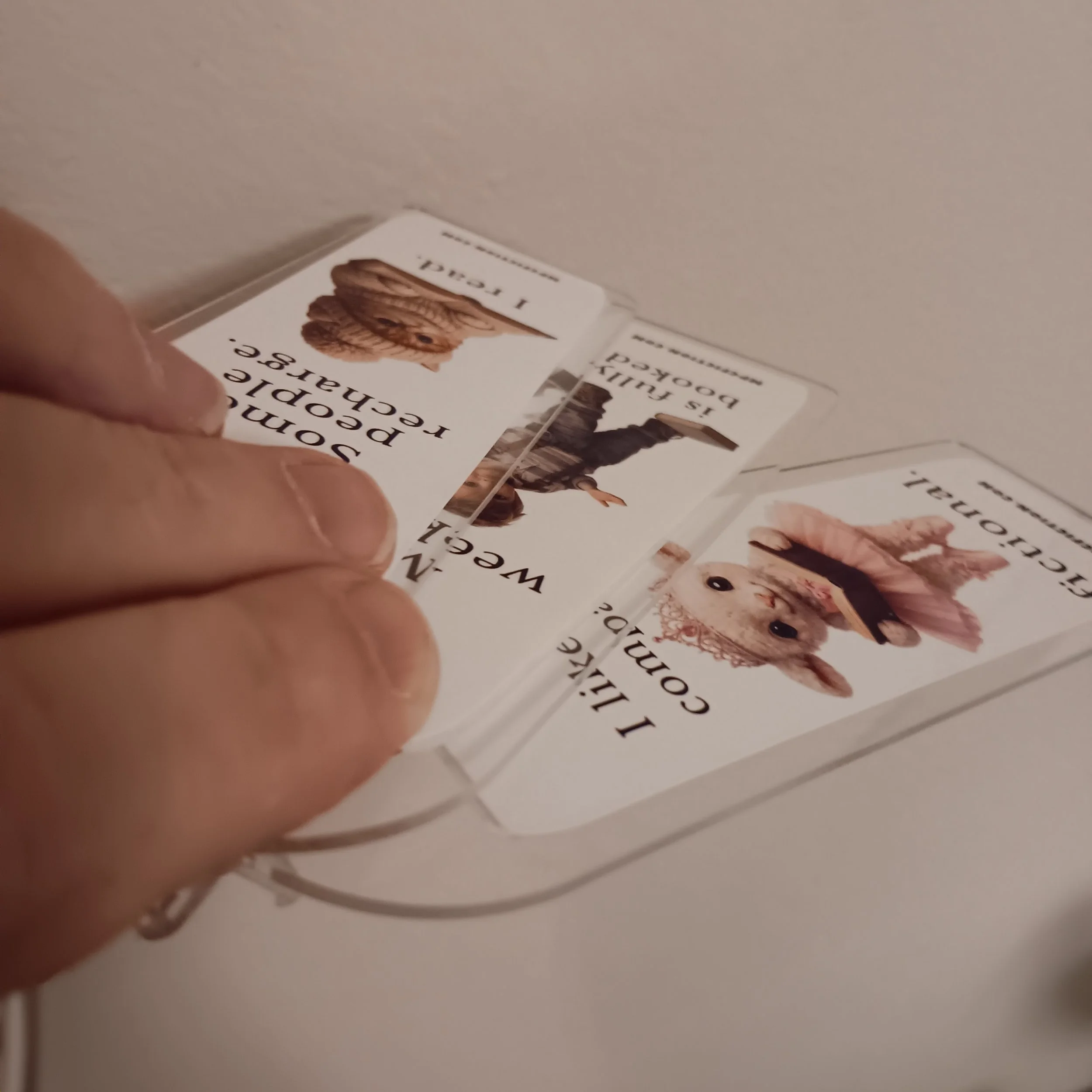 20260418_150924.jpg (Copy)