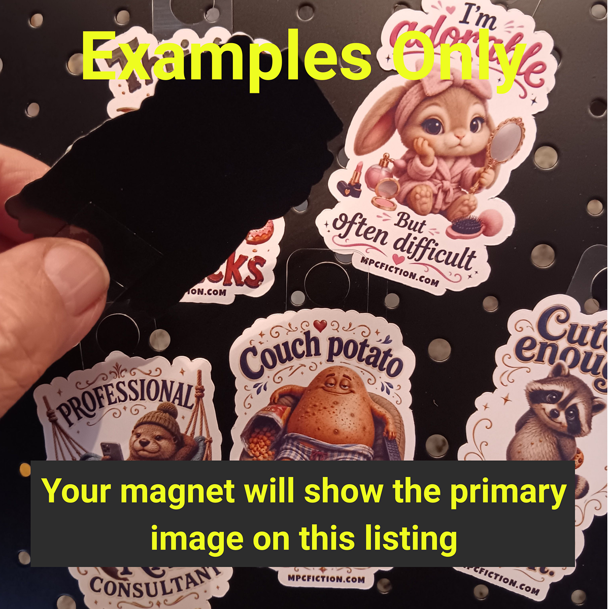 Examples - Artboard 11.png (Copy)