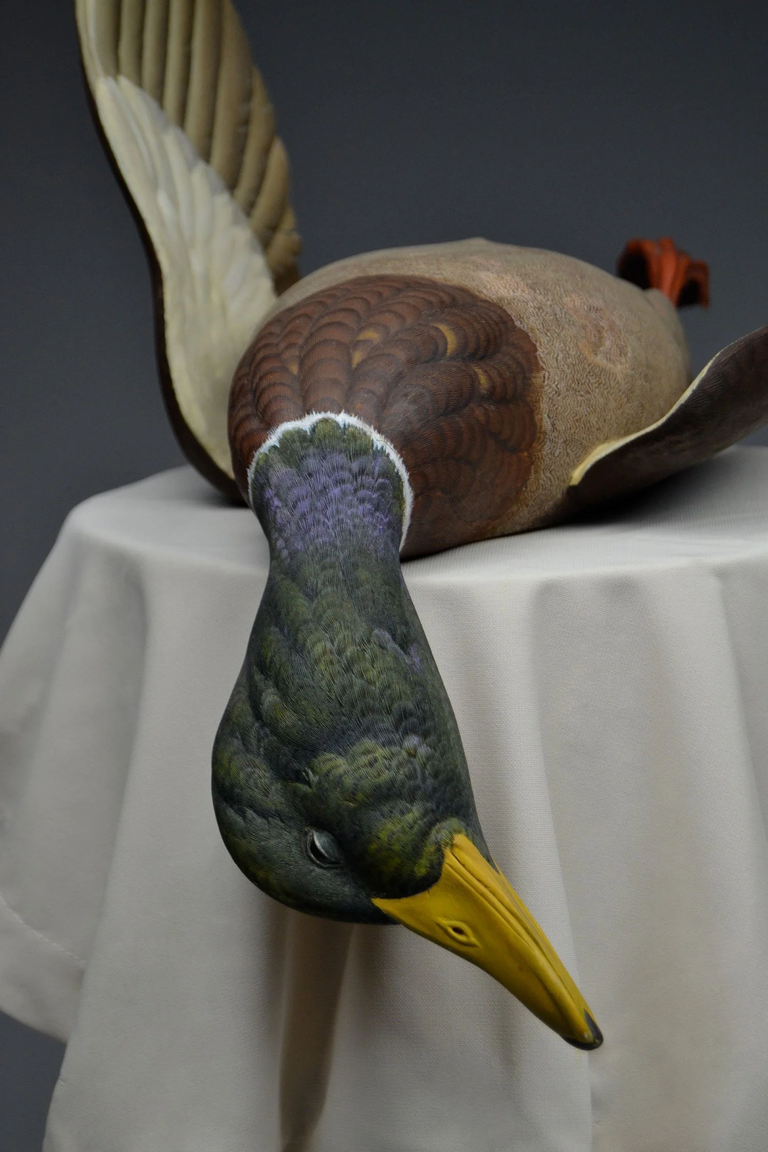 LodgebTDD2-Trophy-Duck-Michael-Combs-sml.jpg