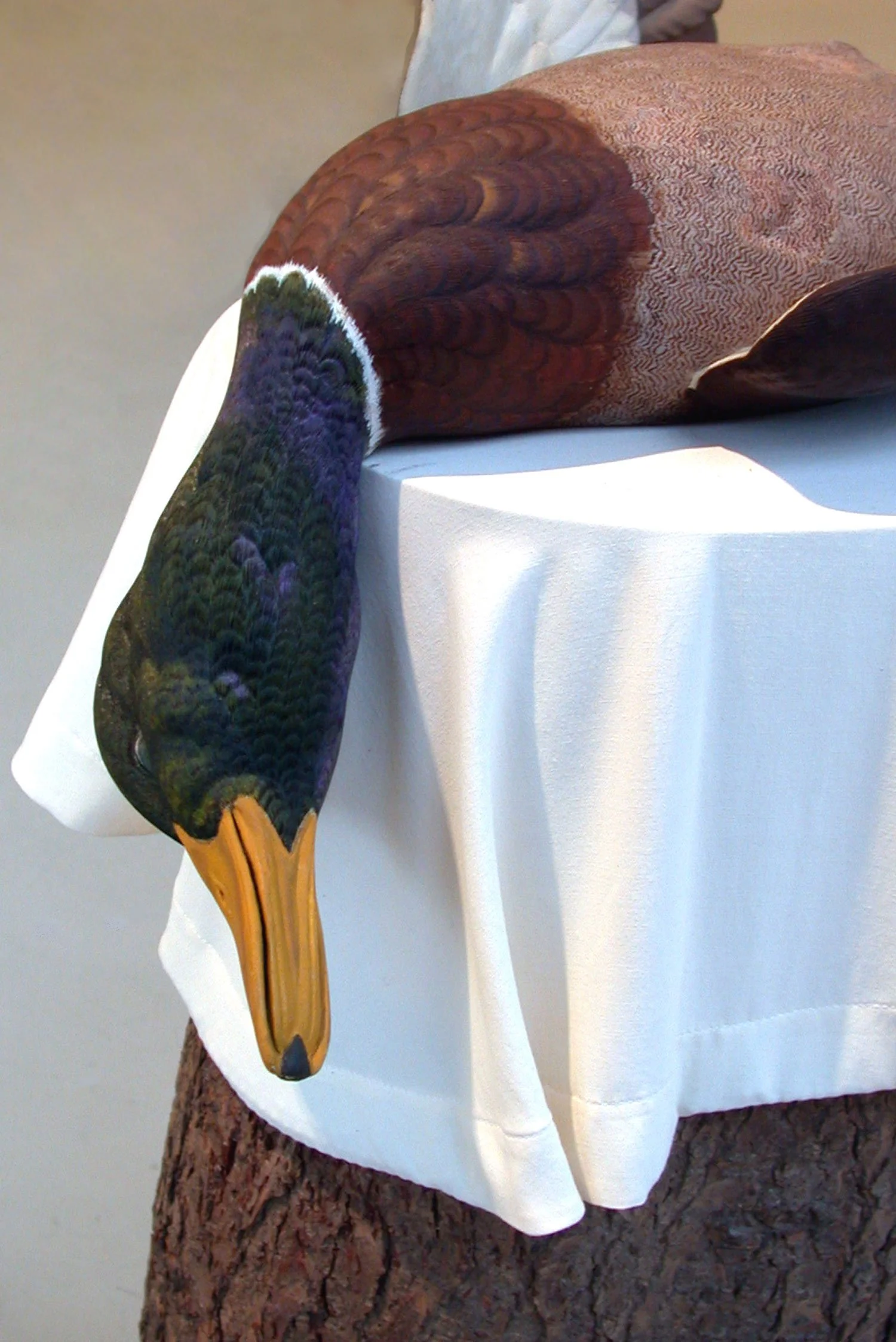 Lodgeb_Trophy-Duck-Detail-Michael-Combs-sml.jpg