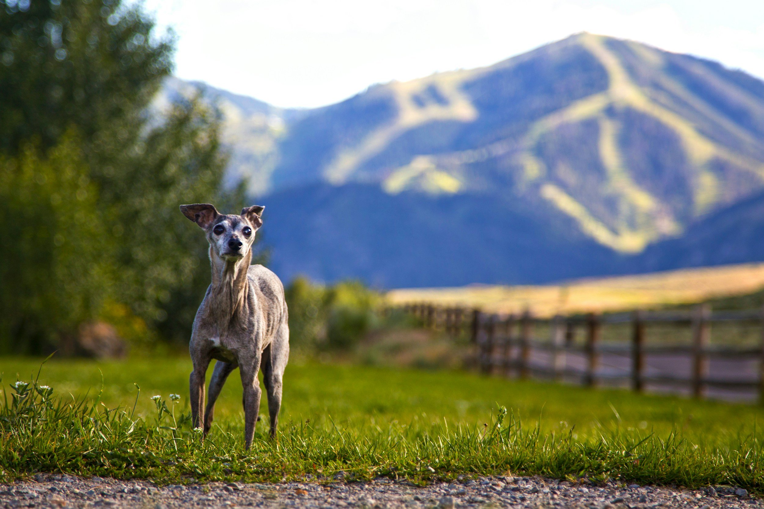 Standing Out: How Design Drives Sales in The Valley