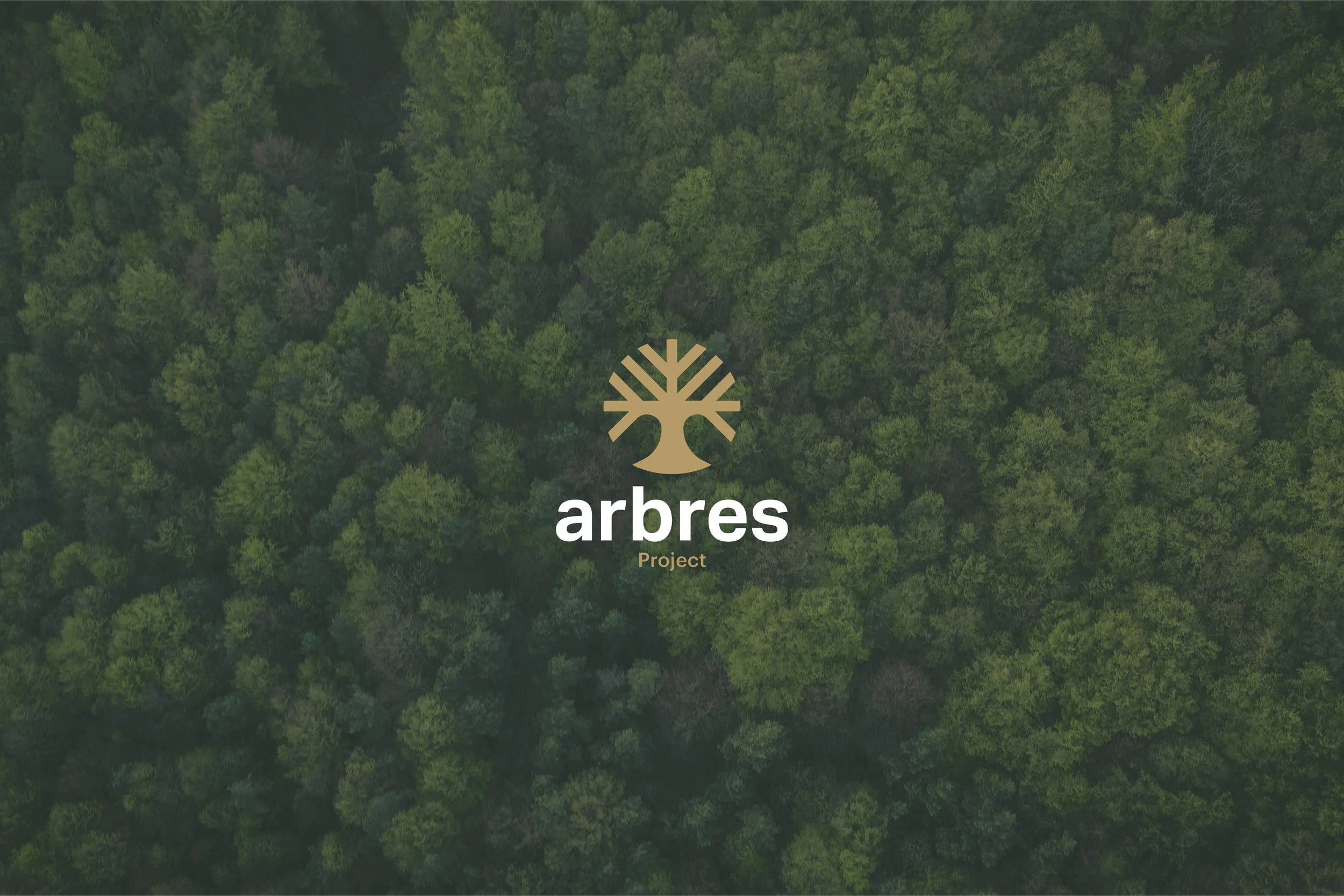 Arbres Project