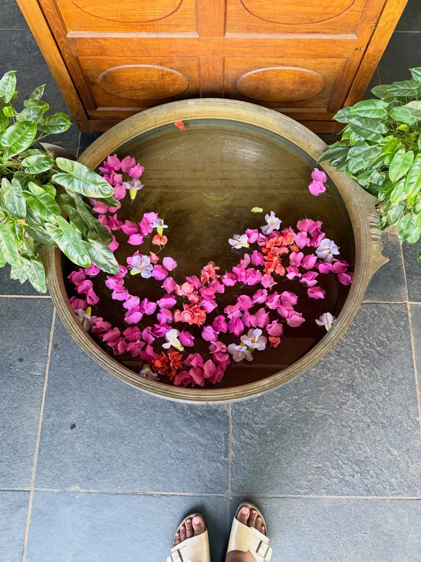 Ma India return is so sweet. Today the first day of Spring where the whole earth shares this unique rhythm. The day and night become equal, light and darkness perfectly divided. In the north we have spring and the south it is autumn. 

Hope you enjoy