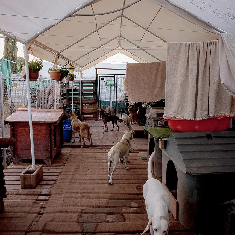 Shelter01.jpg