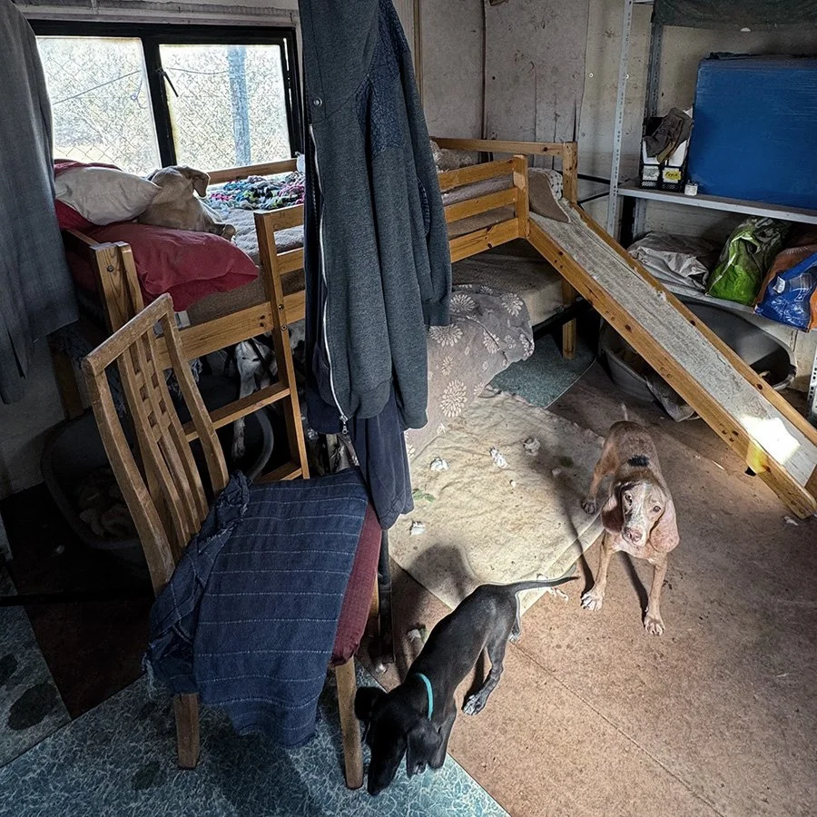 Shelter10.jpg