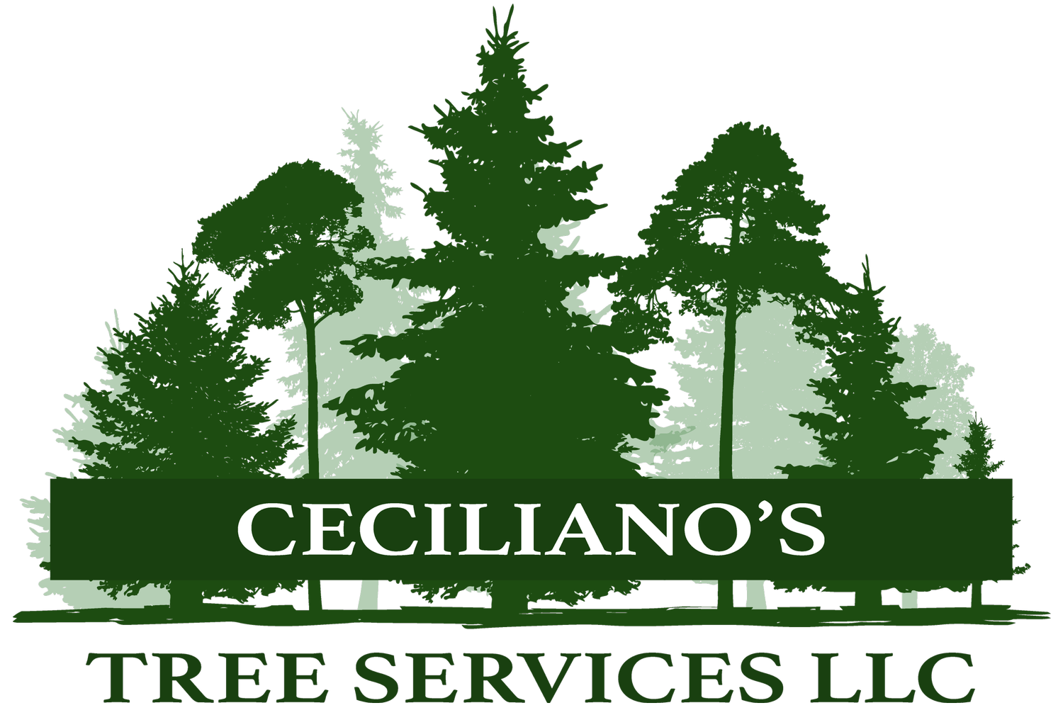 Ceciliano&#39;s Tree Services, LLC