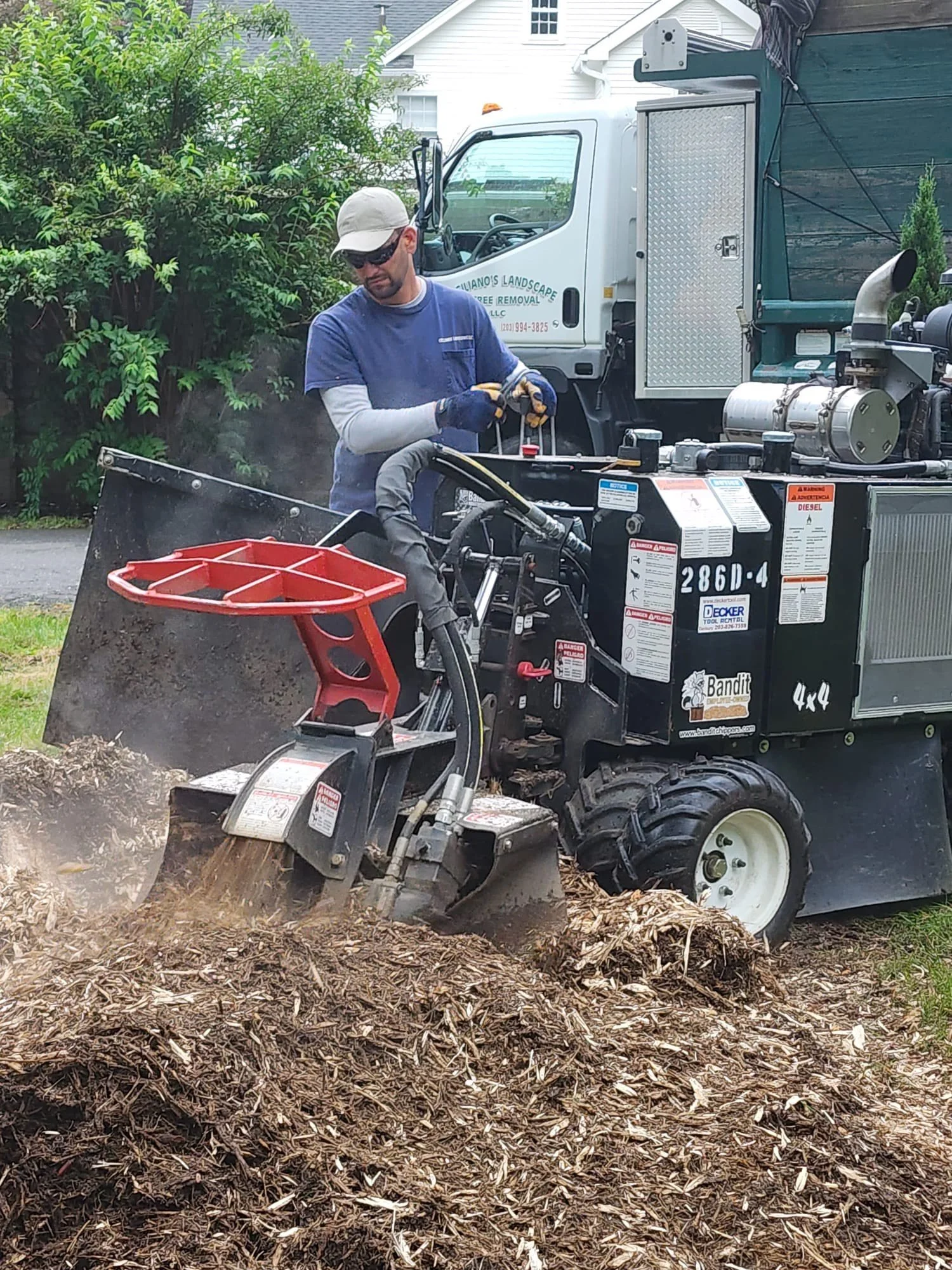 image_123650291 (1).jpeg