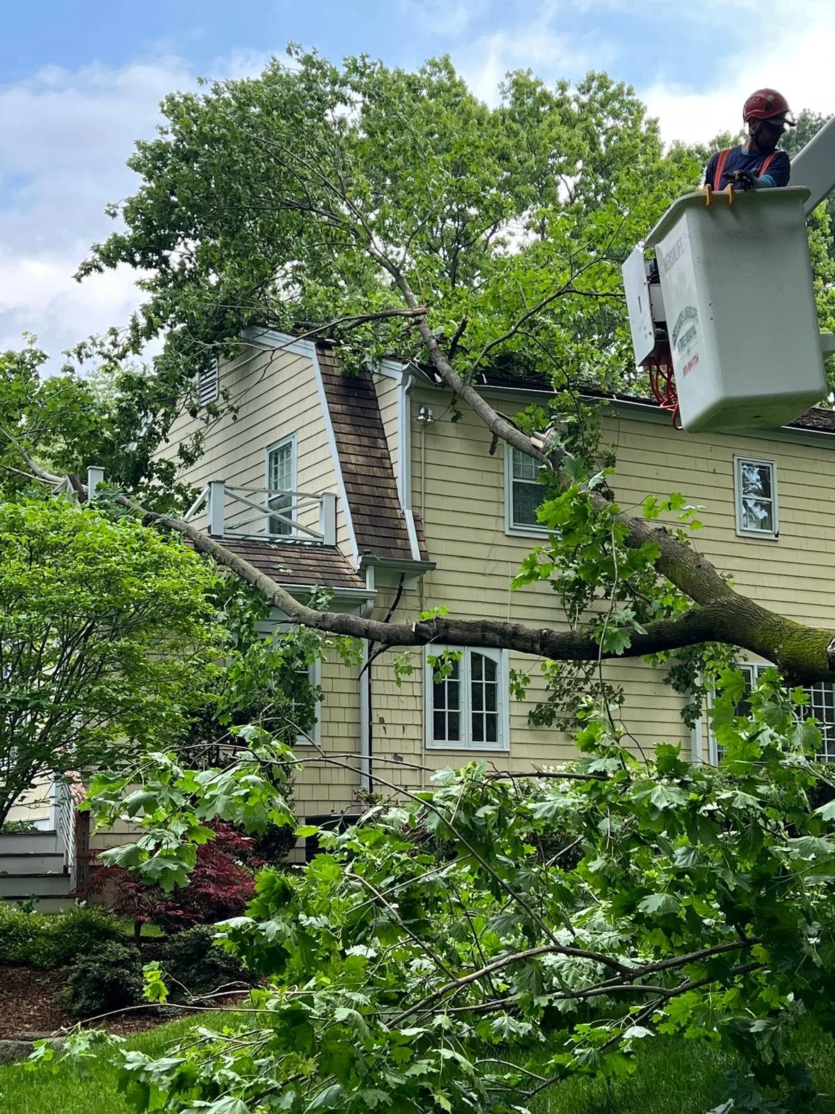 image_123650291 (6).jpeg