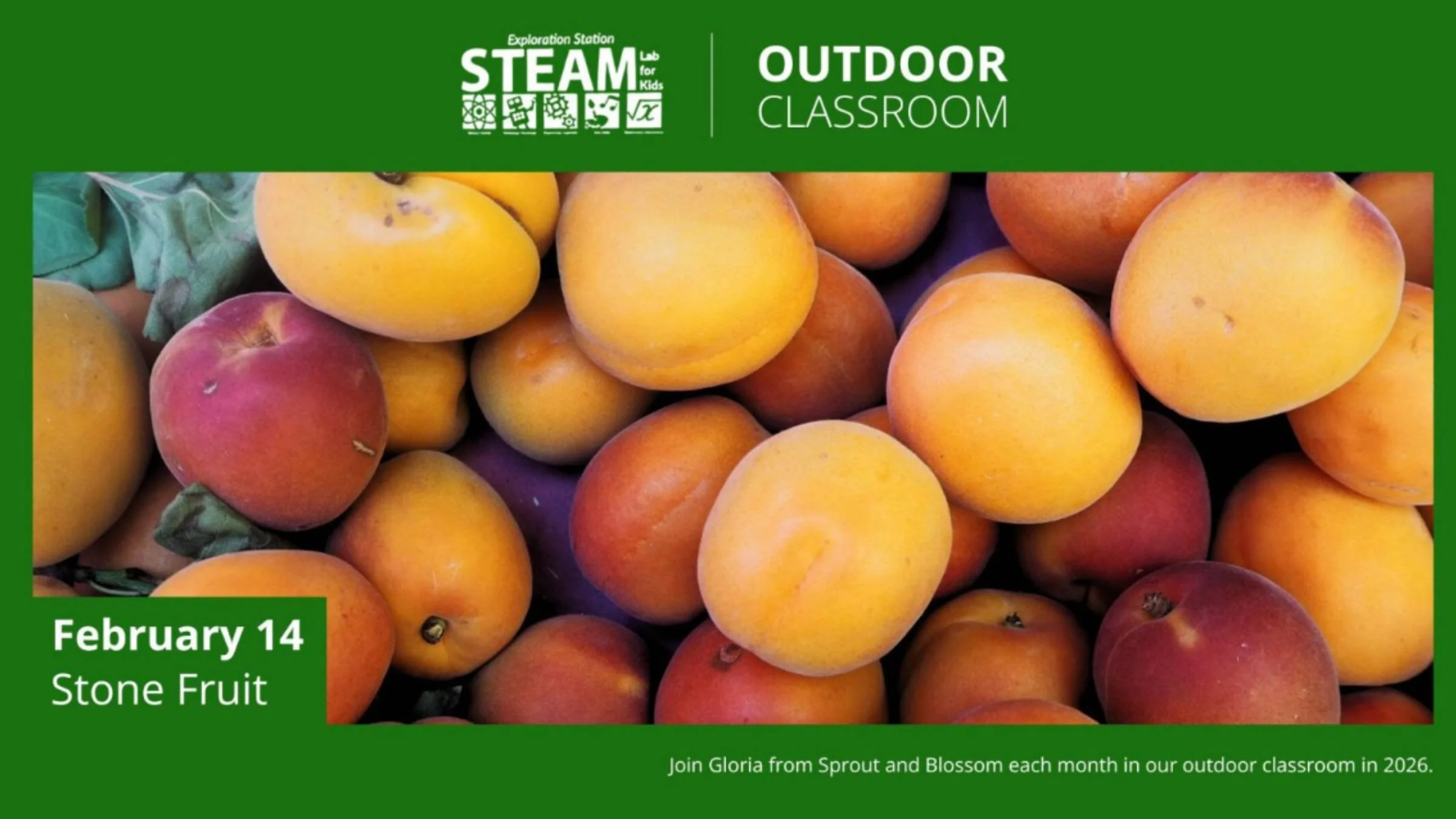 STEAM Outdoors with Sprout and Blossom: Stone Fruit