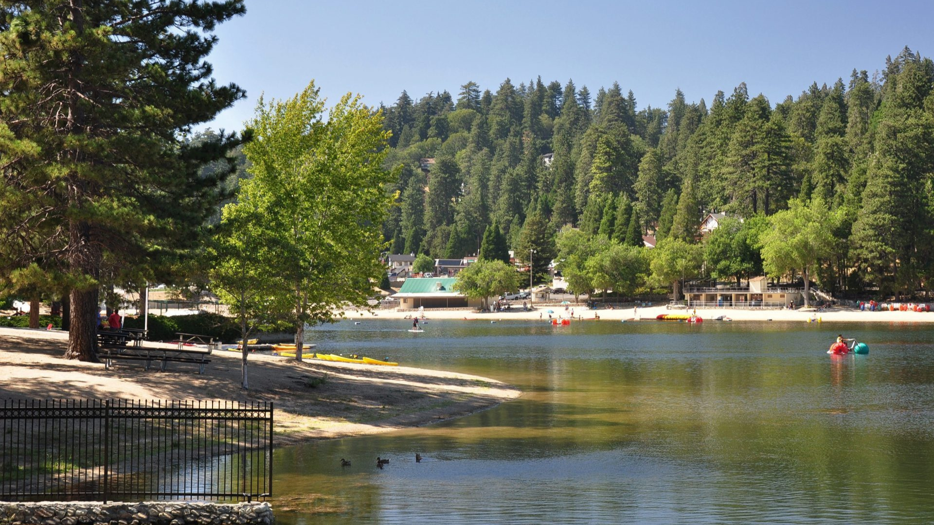 Coffee and Walk Around Beautiful Lake Gregory