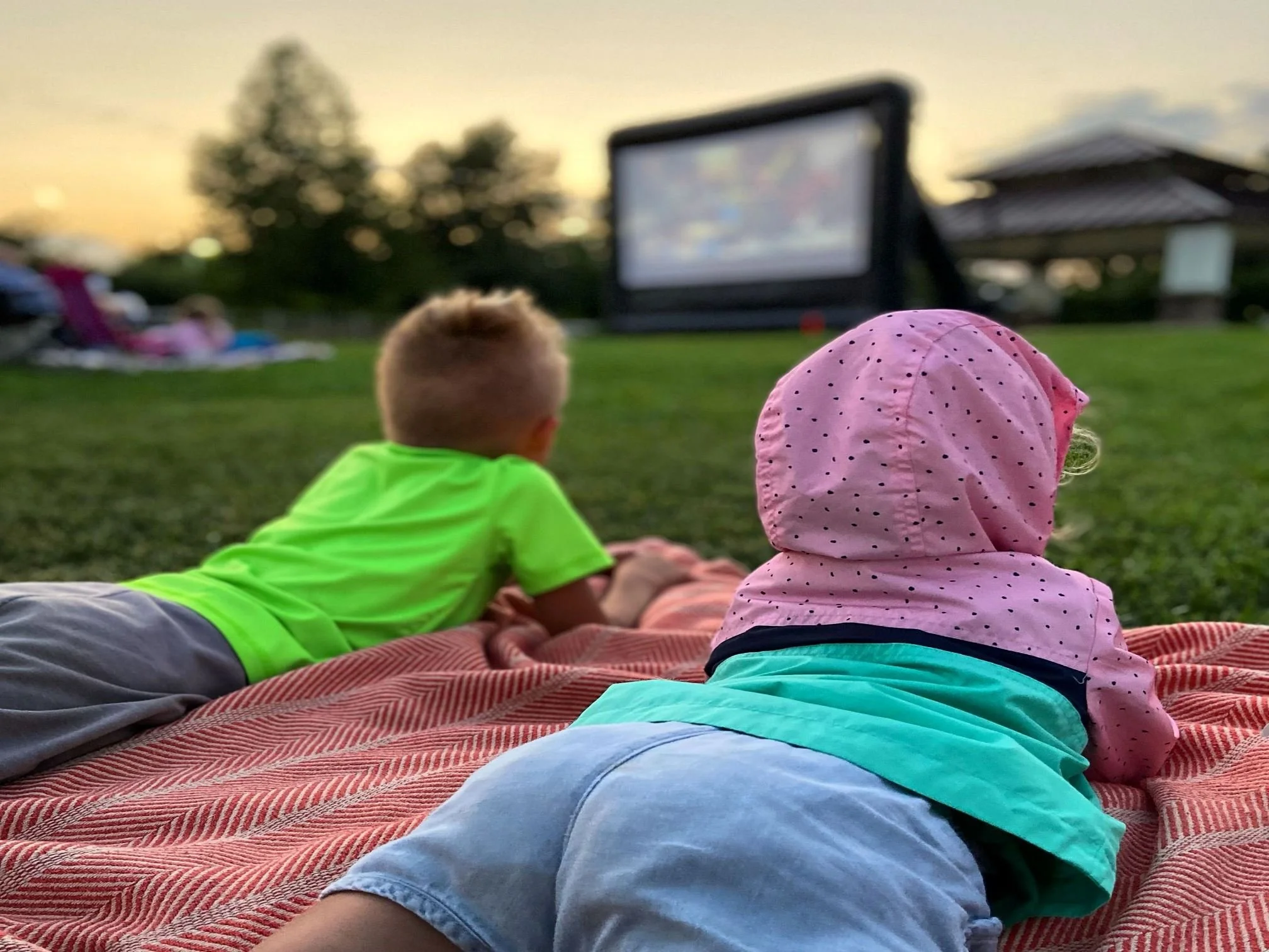 Movies in the Park