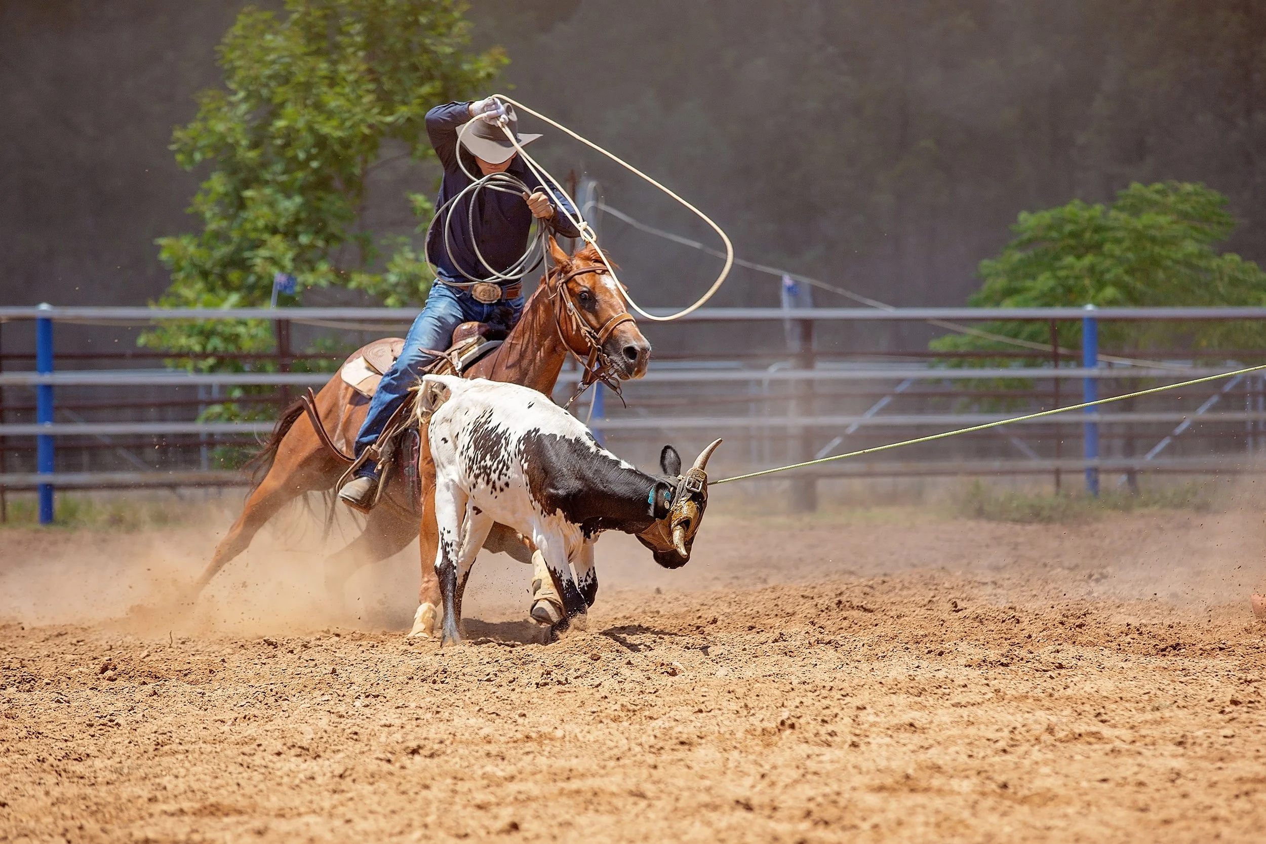 Big Bear Rodeo