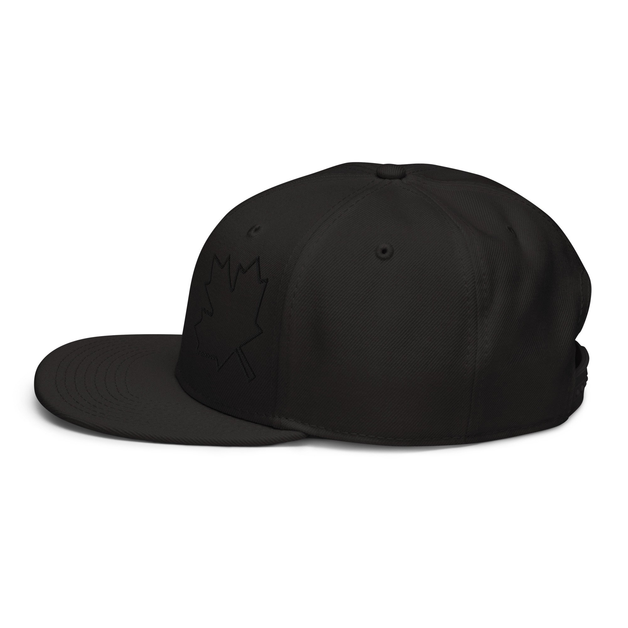 snapback-black-left-side-665e6cd3dce3d.jpg