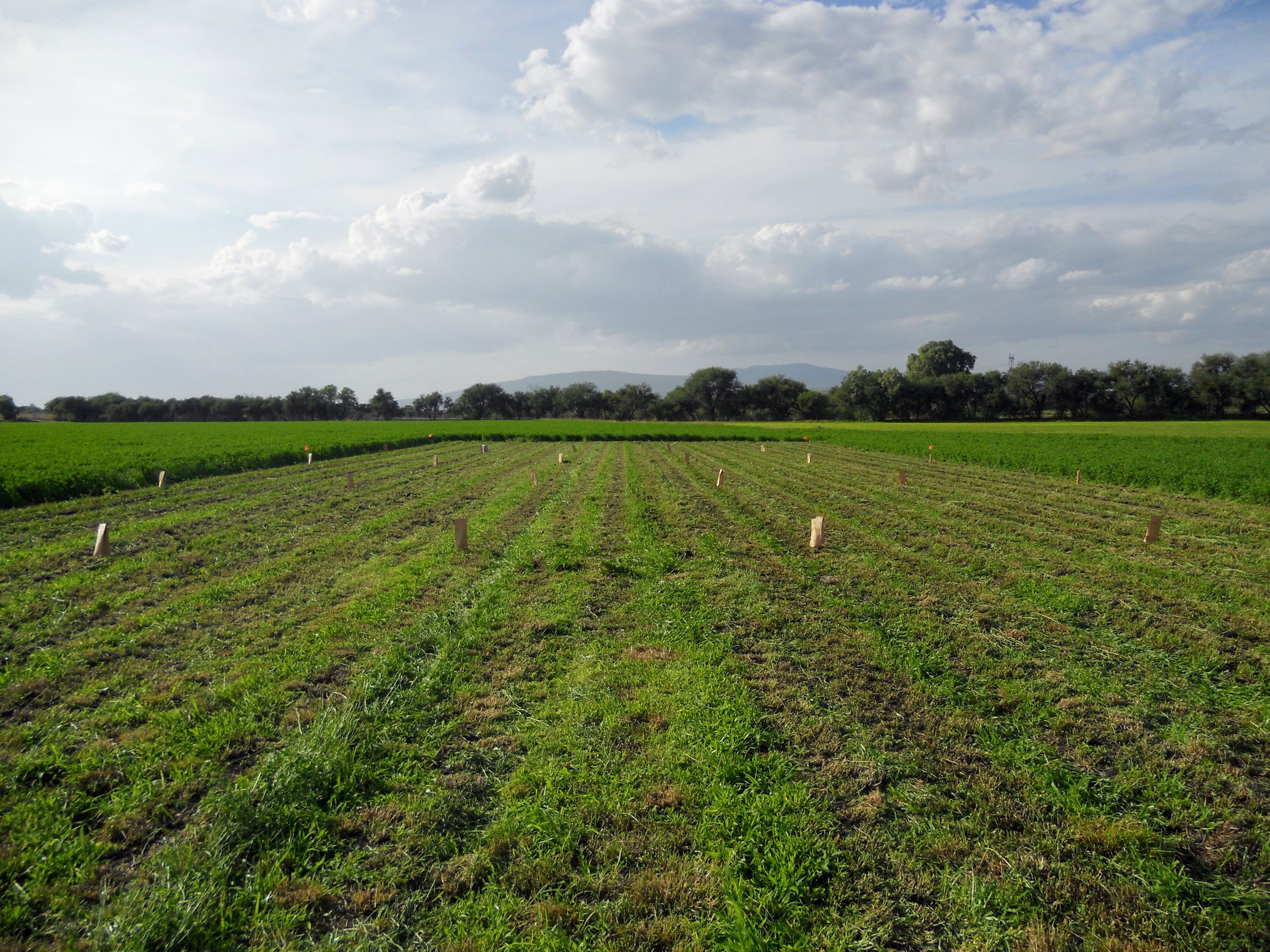 DSCN4781.JPG