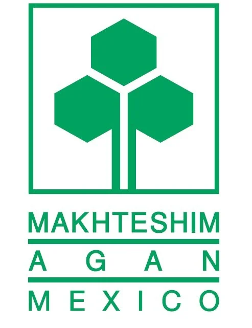 MAKHTESHIM AGAN MEXICO.jpg