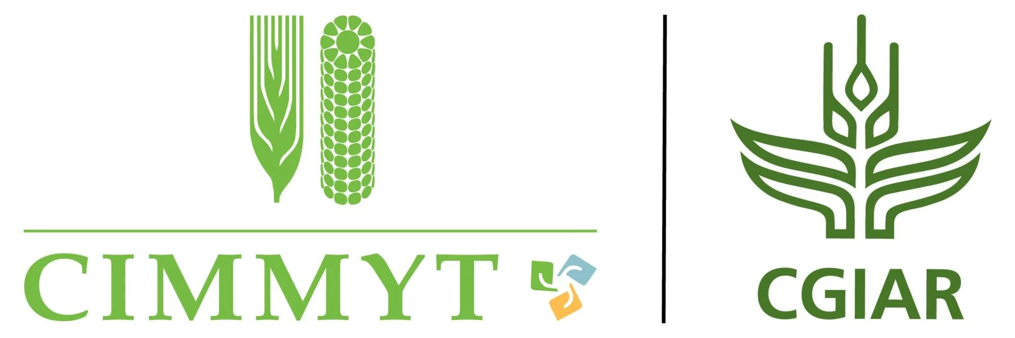 CIMMYT logo.jpg