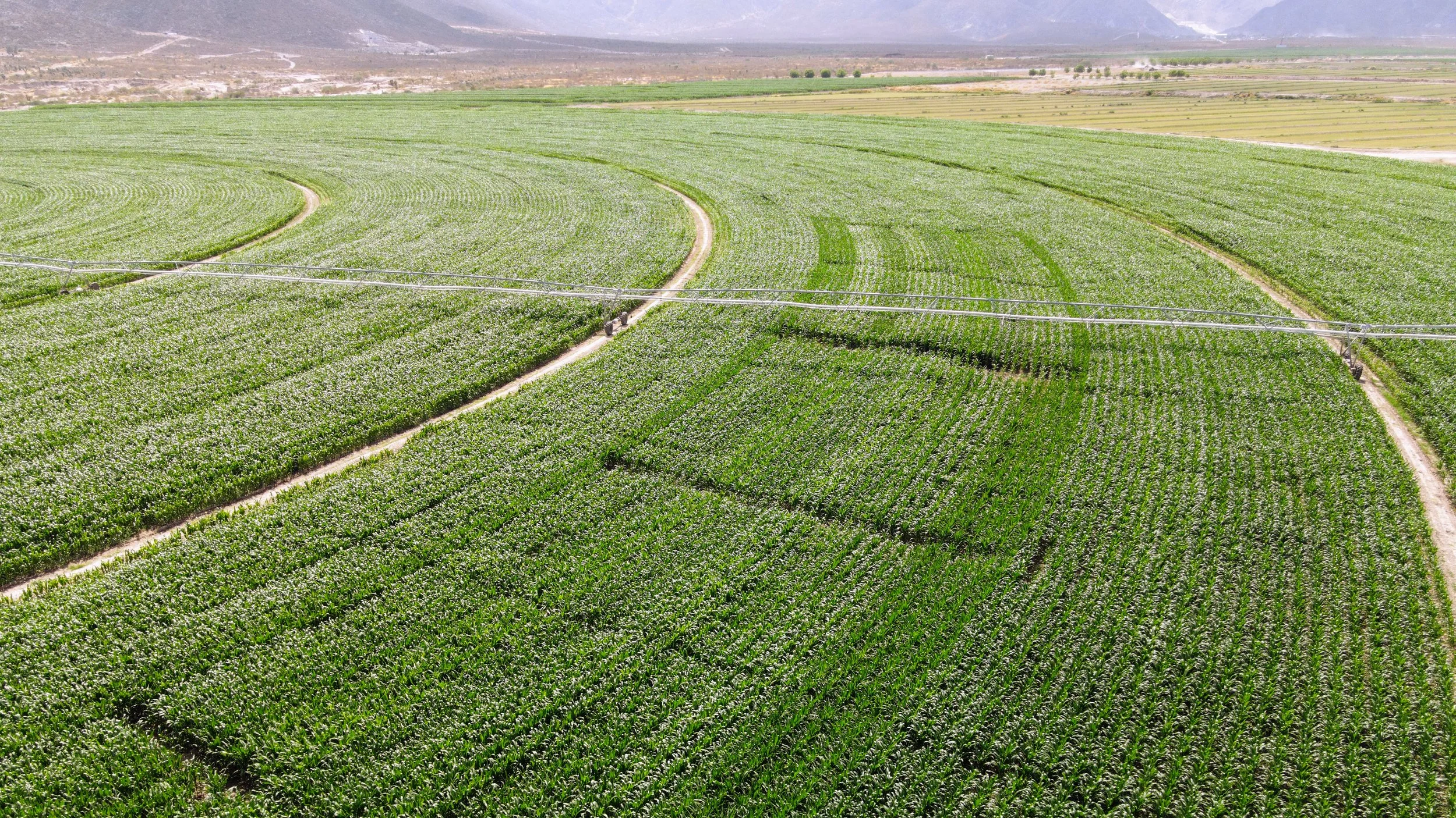 Curso Forraje Home 2.JPG