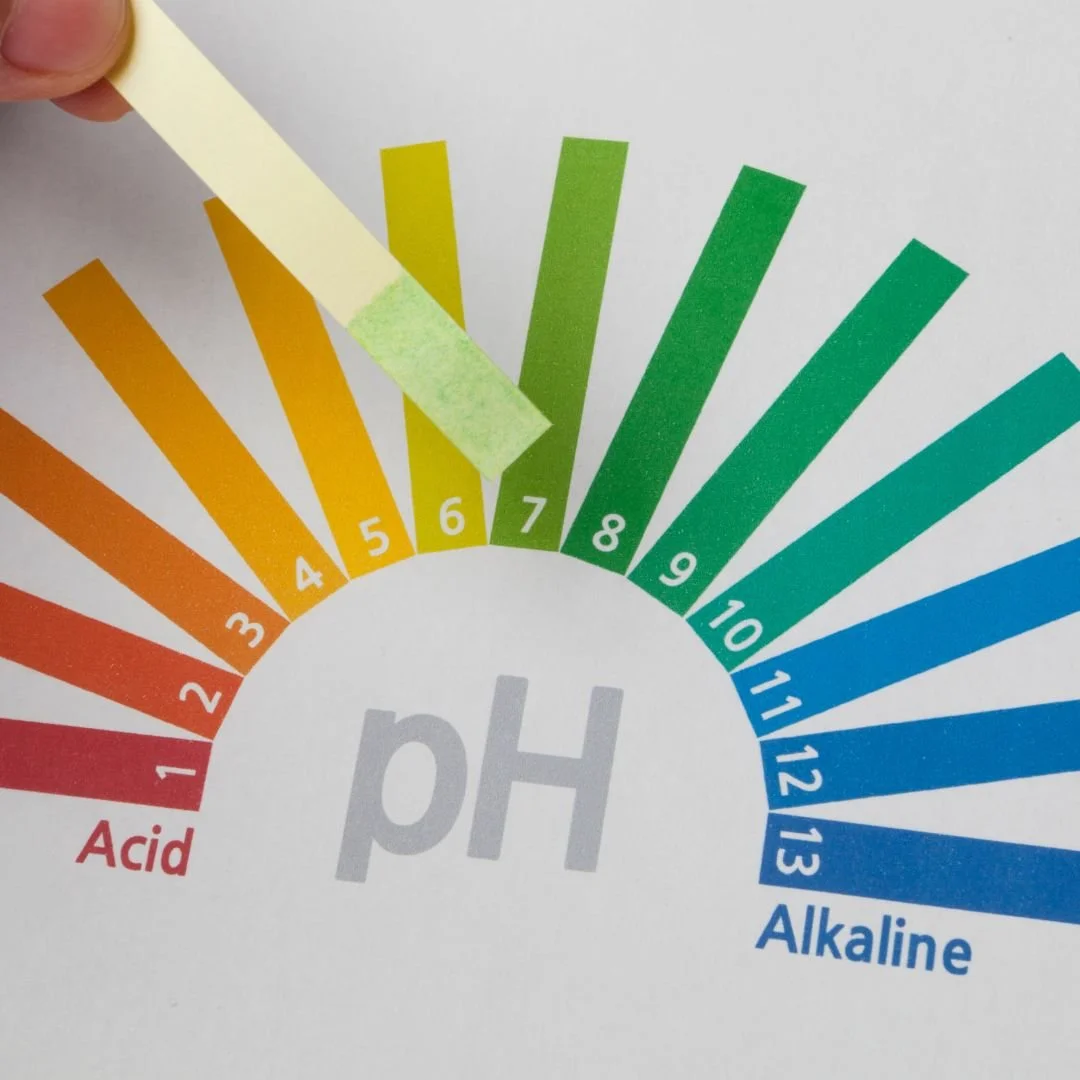 Hand holding a pH test strip over a color-coded pH scale ranging from 1 to 13, with indicator colors from red for acid to blue for alkaline.