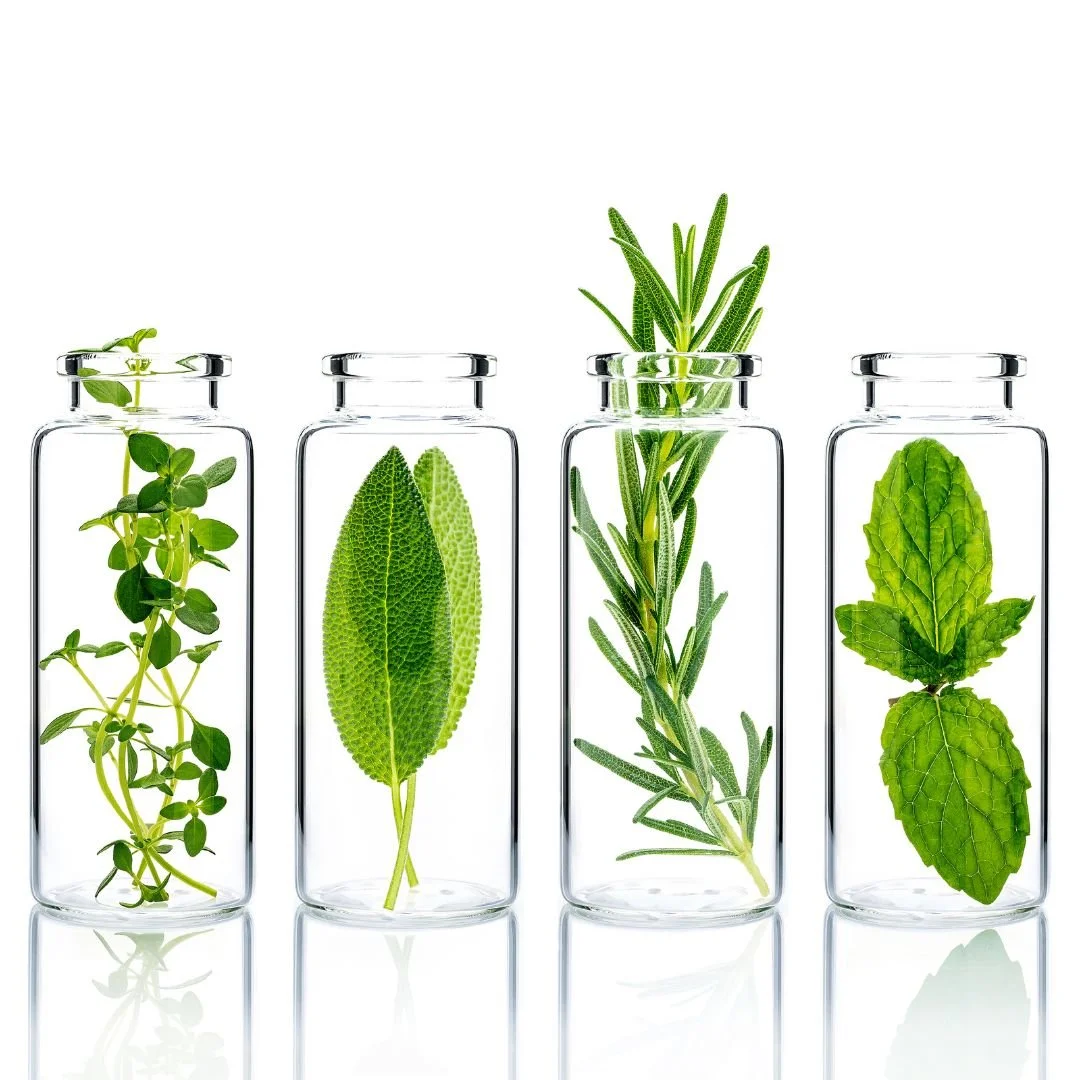 Four glass test tubes containing sprigs of herbs including thyme, sage, rosemary, and mint, arranged in a row against a white background.