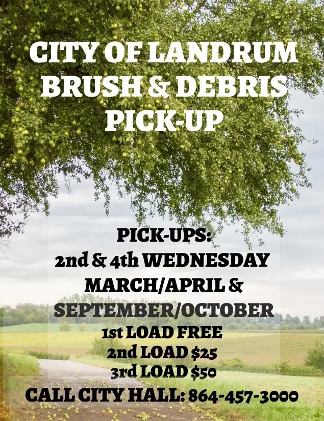 BRUSH & DEBRIS PICK-UP