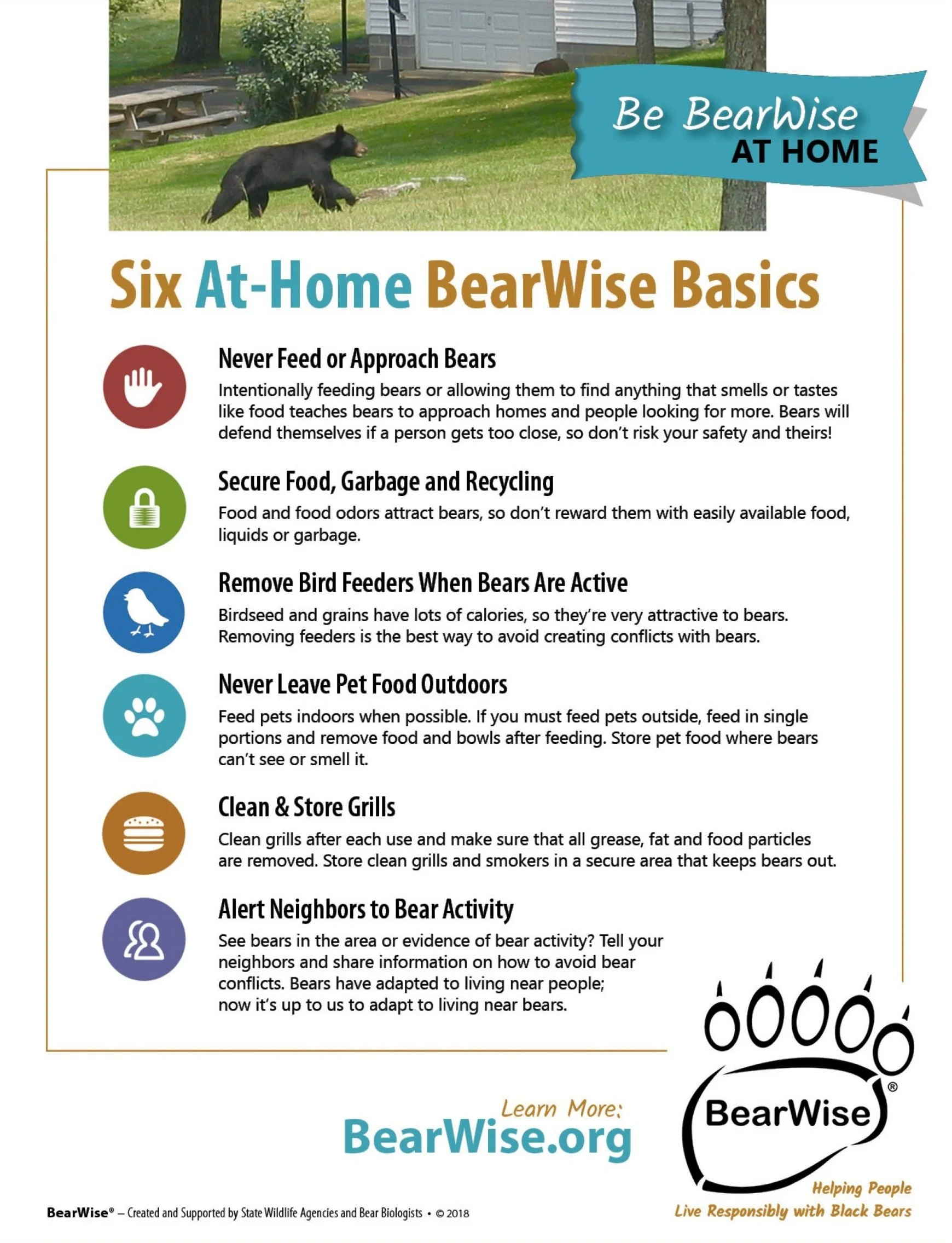 BEAR WISE BASICS