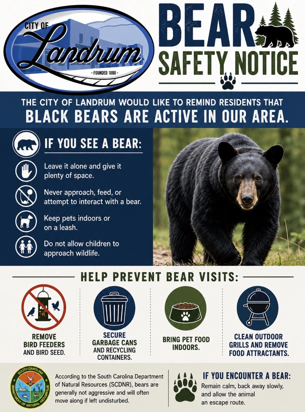 BEAR SAFETY