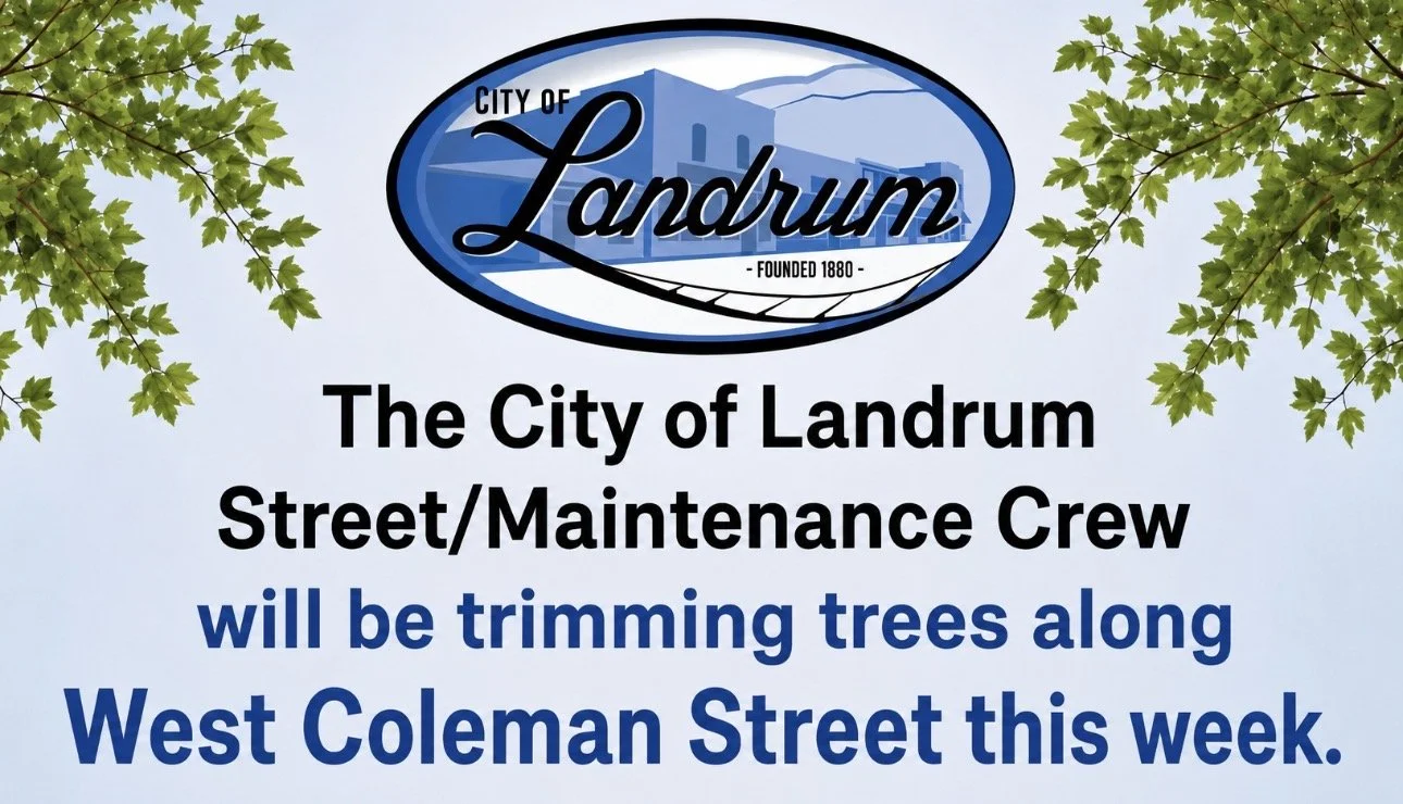 TREE TRIMMING 