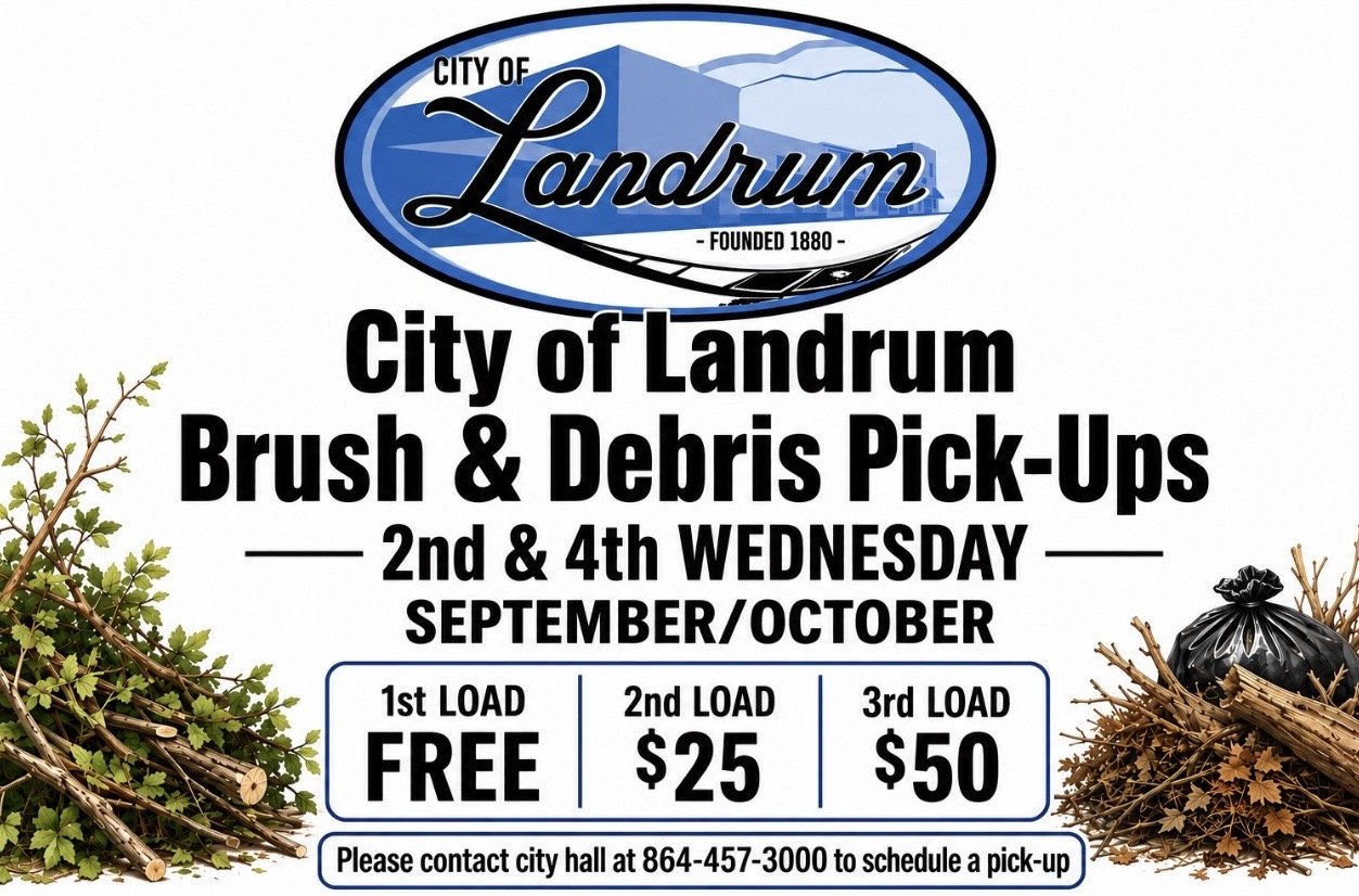 DEBRIS PICK-UP