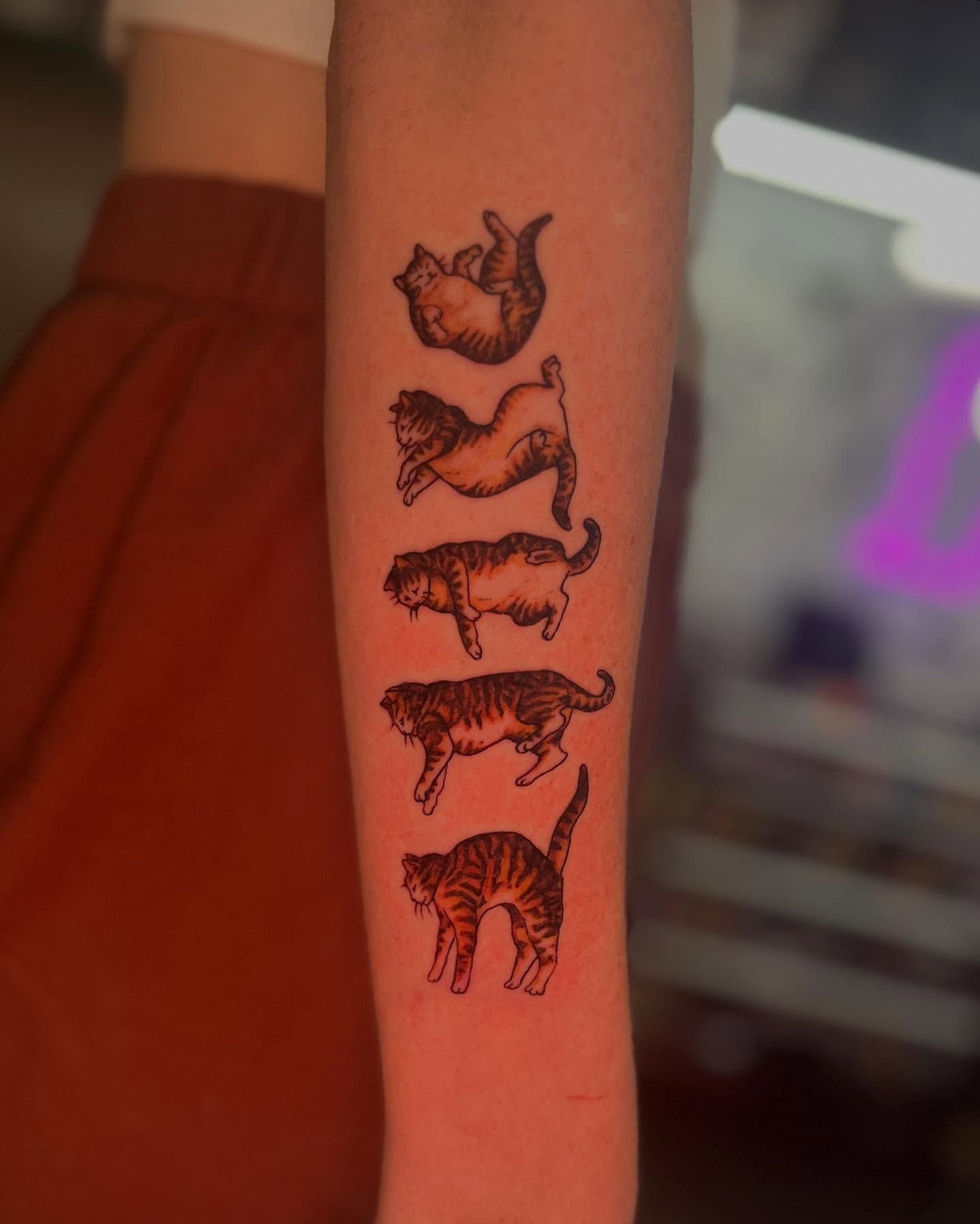 Cats are such fascinating little _____!! Fine line falling cat from today 😺

#cats_of_instagram #cattattoos #cattoo #femaletattooartist #ladytattooers #atlantatattooartist #atlantatattoo #atlantatattoos #finelinetattoo