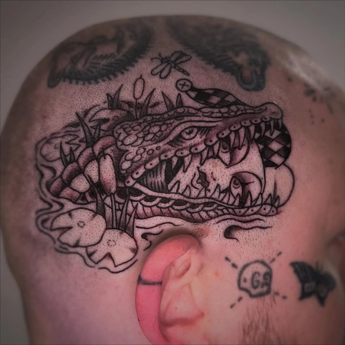 First sesh on Conifer&rsquo;s noggin 😲 can&rsquo;t wait for color!! 

#alligatortattoo #gatortattoo #headtattoo #boyswithtattoos #tradtattoos #atlantatattoos #atlantatattooartist #atltattoos #atltattooartist #bayoulife #femaletattooartist #ladytatto