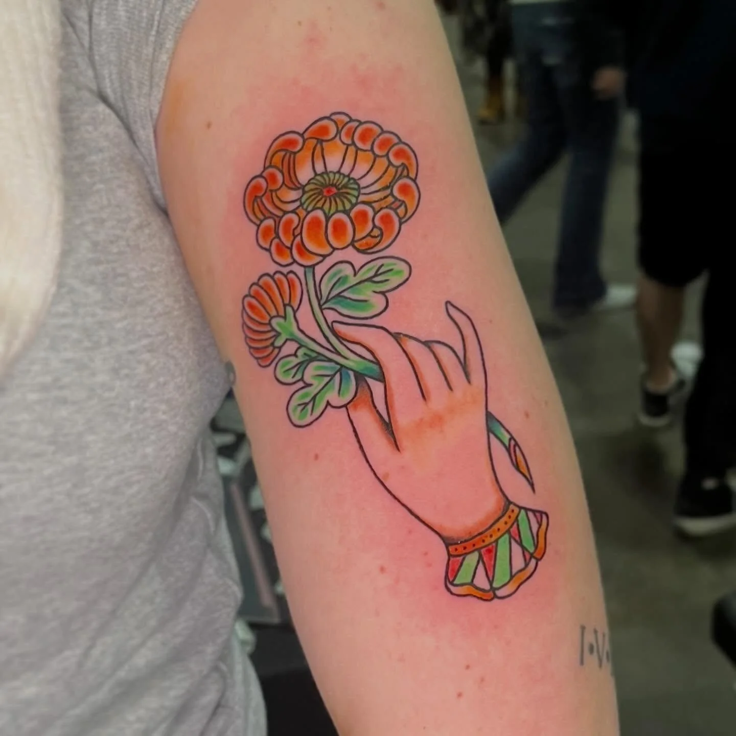 Chrysanthemums in hand, from earlier this year. Flowers are literally the best 🥰

#chrysanthemumtattoo #traditionaltattoos #japanesetraditionaltattoo #americantraditionaltattoo #colortattoo