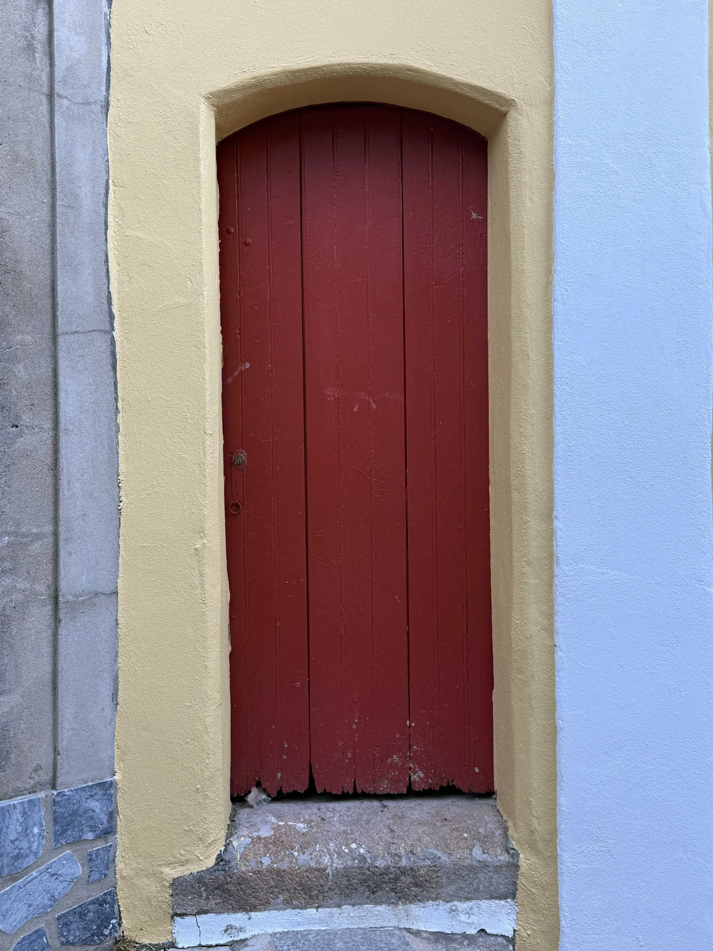 IMG_7956.jpg