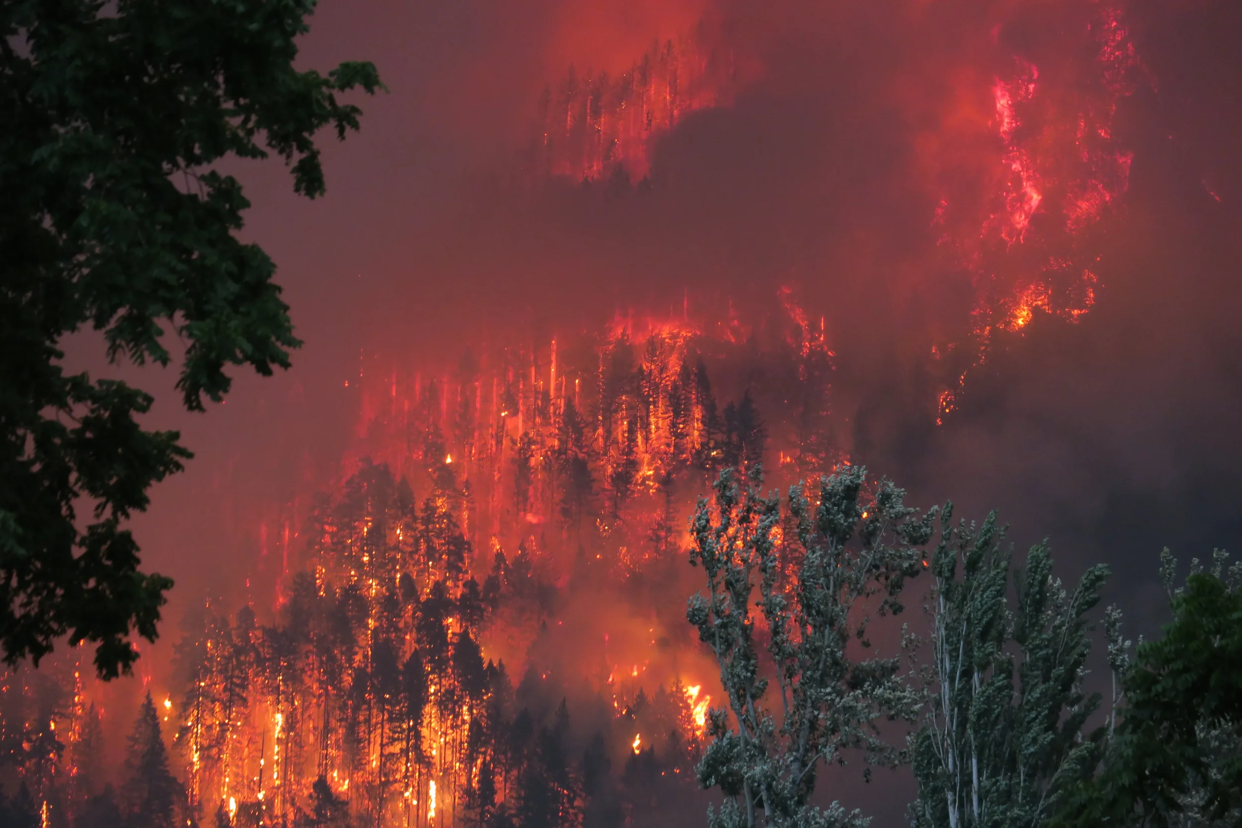 Wildfire in the 21st Century