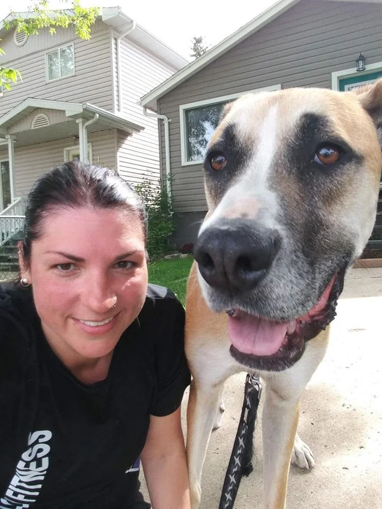 Decoding Dog Training Methods - Part 1 of 3 of “Connecting Canine Behavior and Animal Welfare” Series
