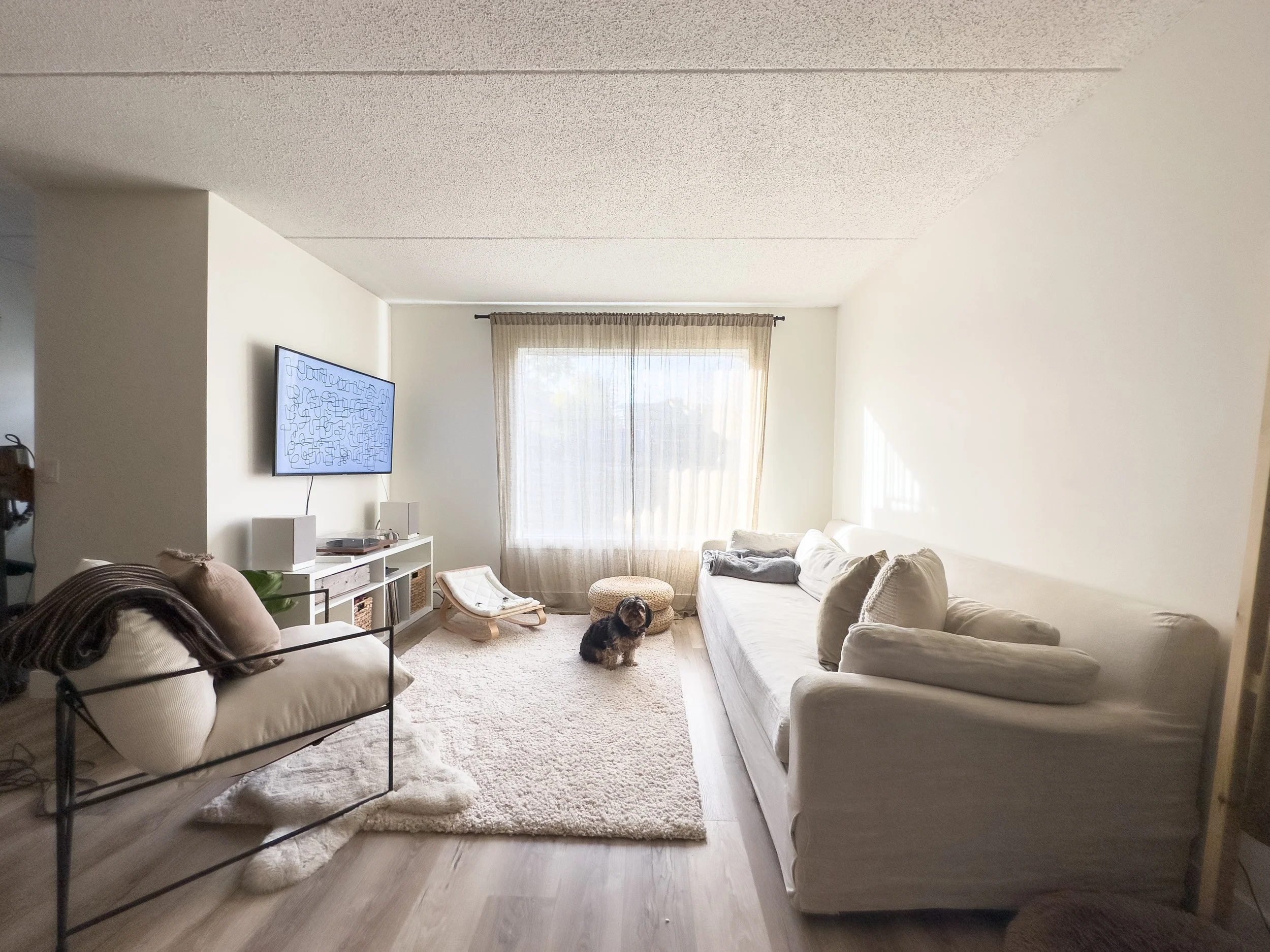Minimalist living room with beige sofa, sleek armchair, wall-mounted TV, and fluffy rug. A dog sits on the floor near a large window with sheer curtains.