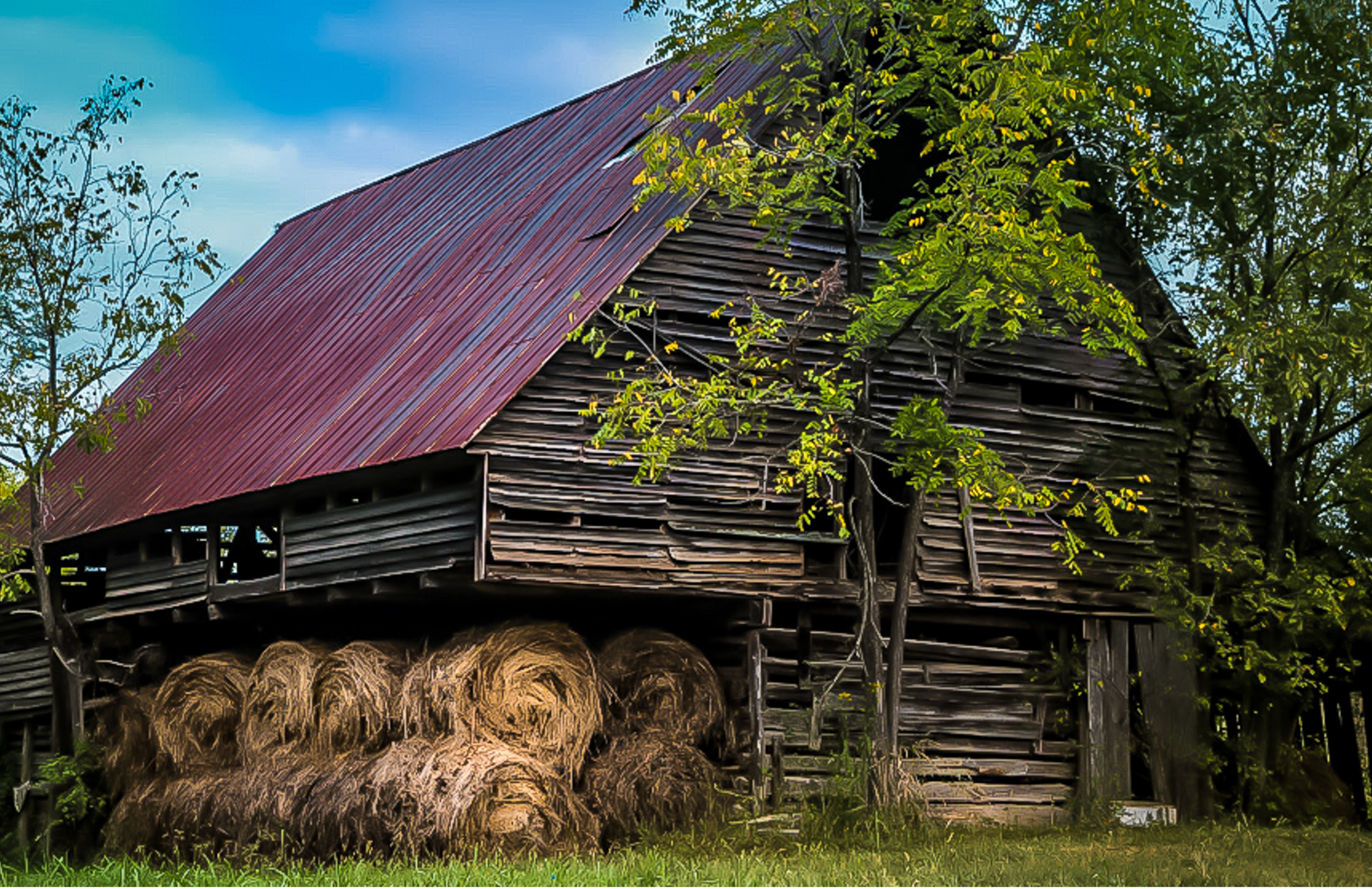 A very old barn with modern bales of hay in rural South Carolina. Image by Rod Vamosi from Getty Images. Source: Canva Pro
