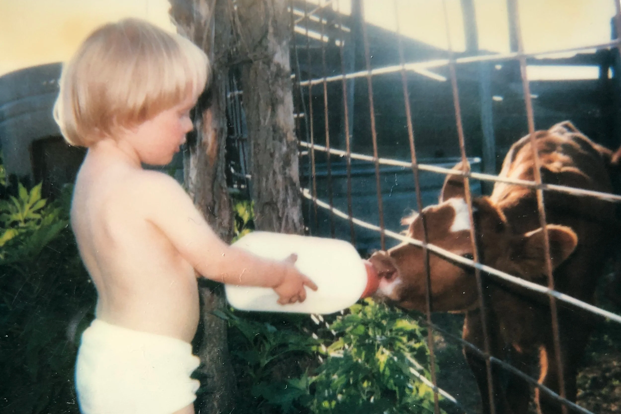 Chase on the family farm